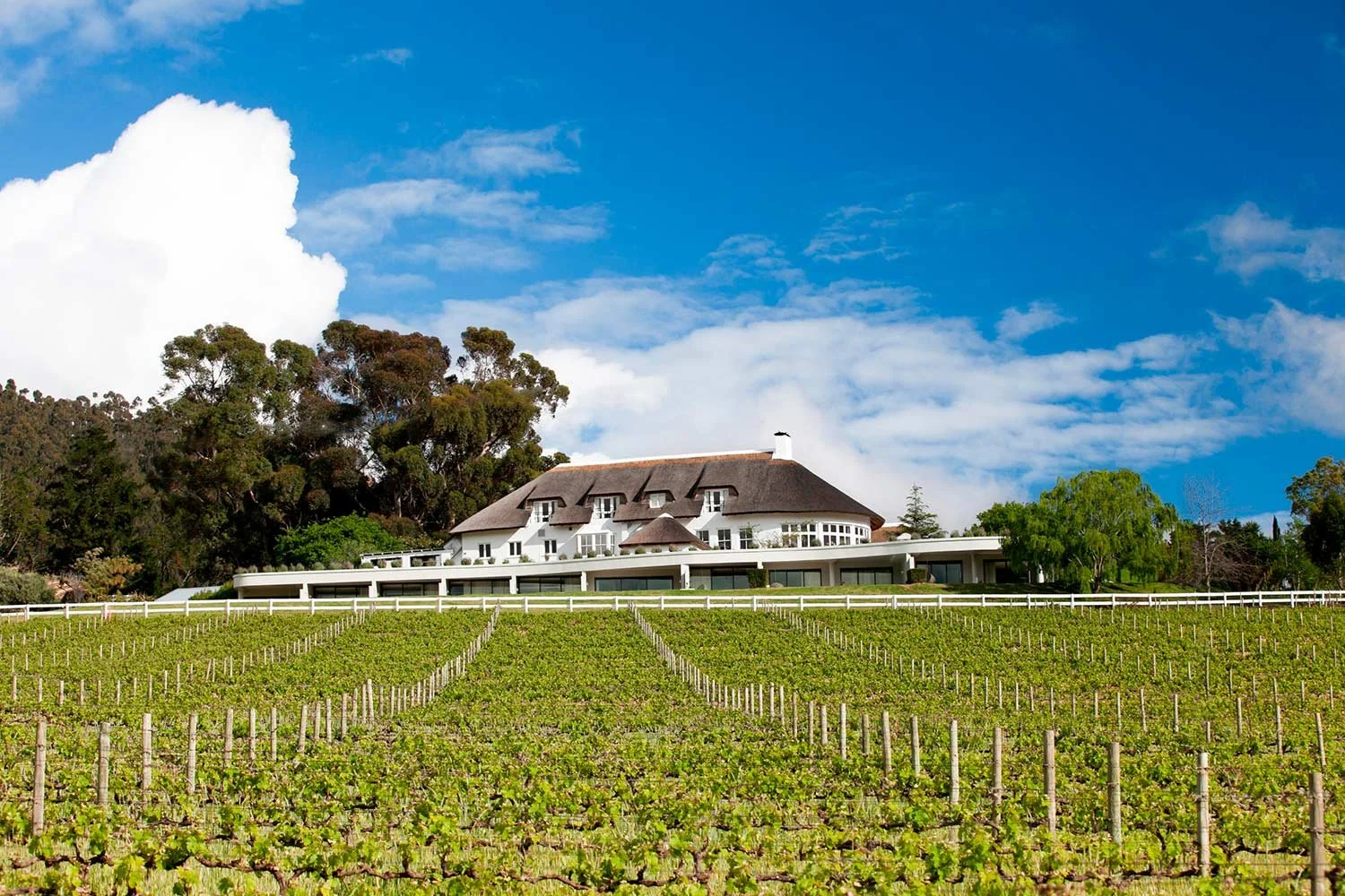 mont-rochelle-hotel-vineyard-gallery-64164e7717d5f.jpg