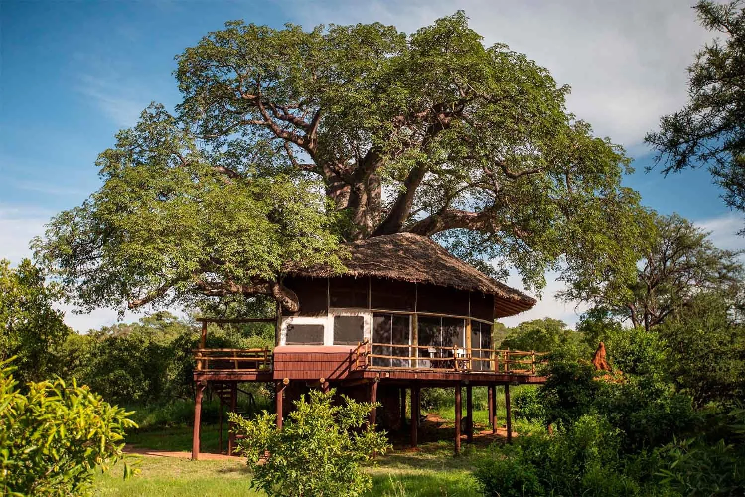 elewana-tarangire-treetops-gallery-60d01680da7b0.jpeg