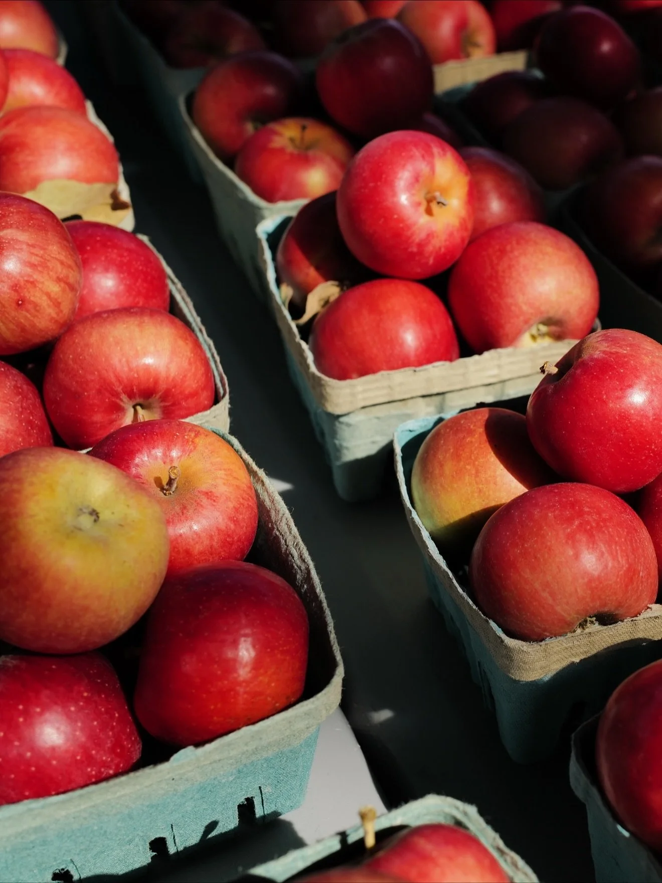 Another incredible Saturday at the market 🎃🍎 @opfarmersmarket 

The season is shifting, apples and pumpkins are beginning to roll in as tomatoes and peaches enjoy their final days. 

@hemme_brothers_creamery famous mozzarella will be here just one 