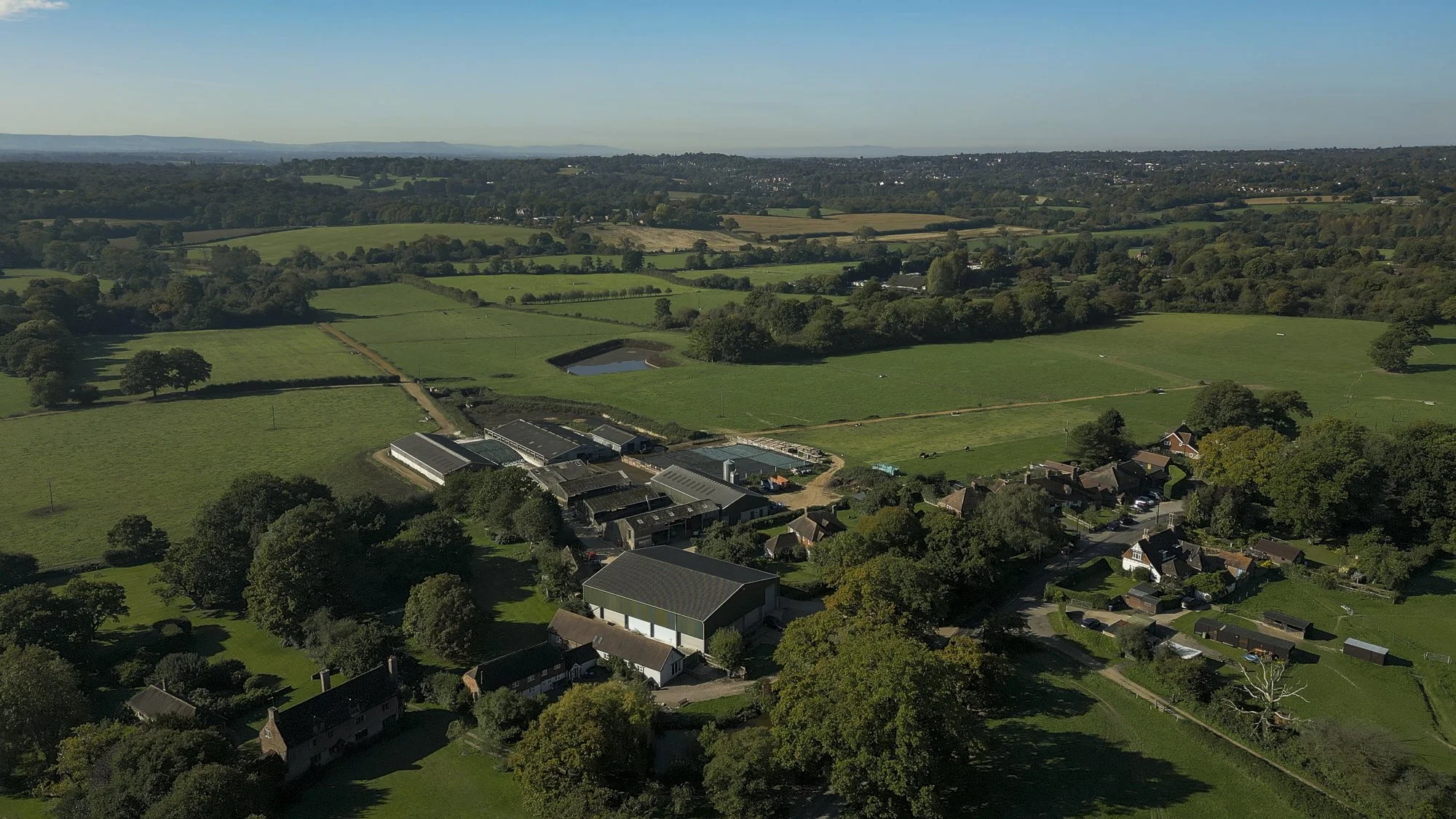 Aerial view of the rural Sussex landscape with green fields, trees, small houses, a pond, and agricultural buildings under a clear blue sky.