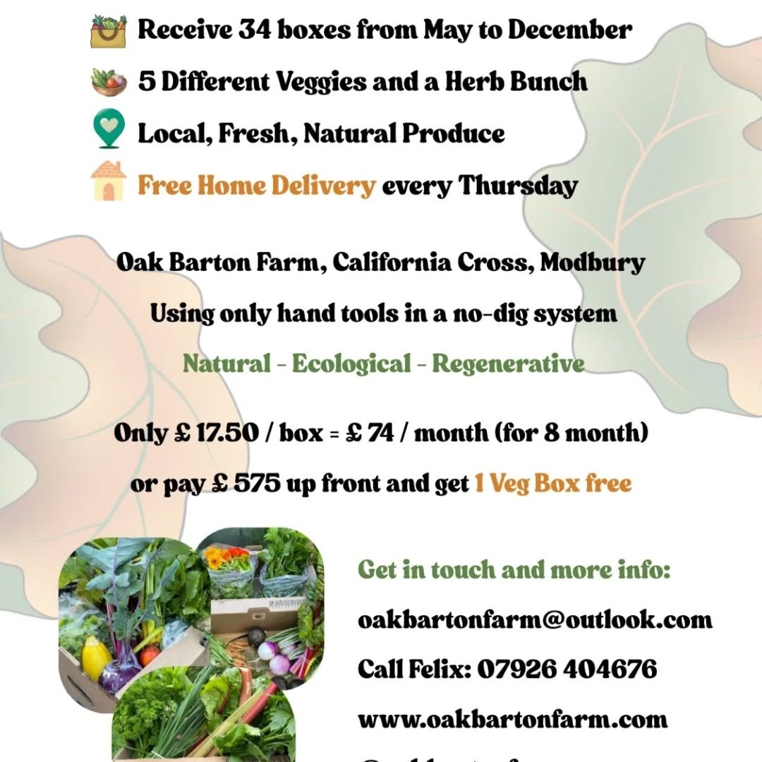 With the spring back in our steps we are excited to announce our Veg Box schemes for the upcoming season!

From May onwards you can get your fresh, natural Oak Barton Farm Veg Box full of healthy goodness. 

Subscribe for the whole season  to secure 