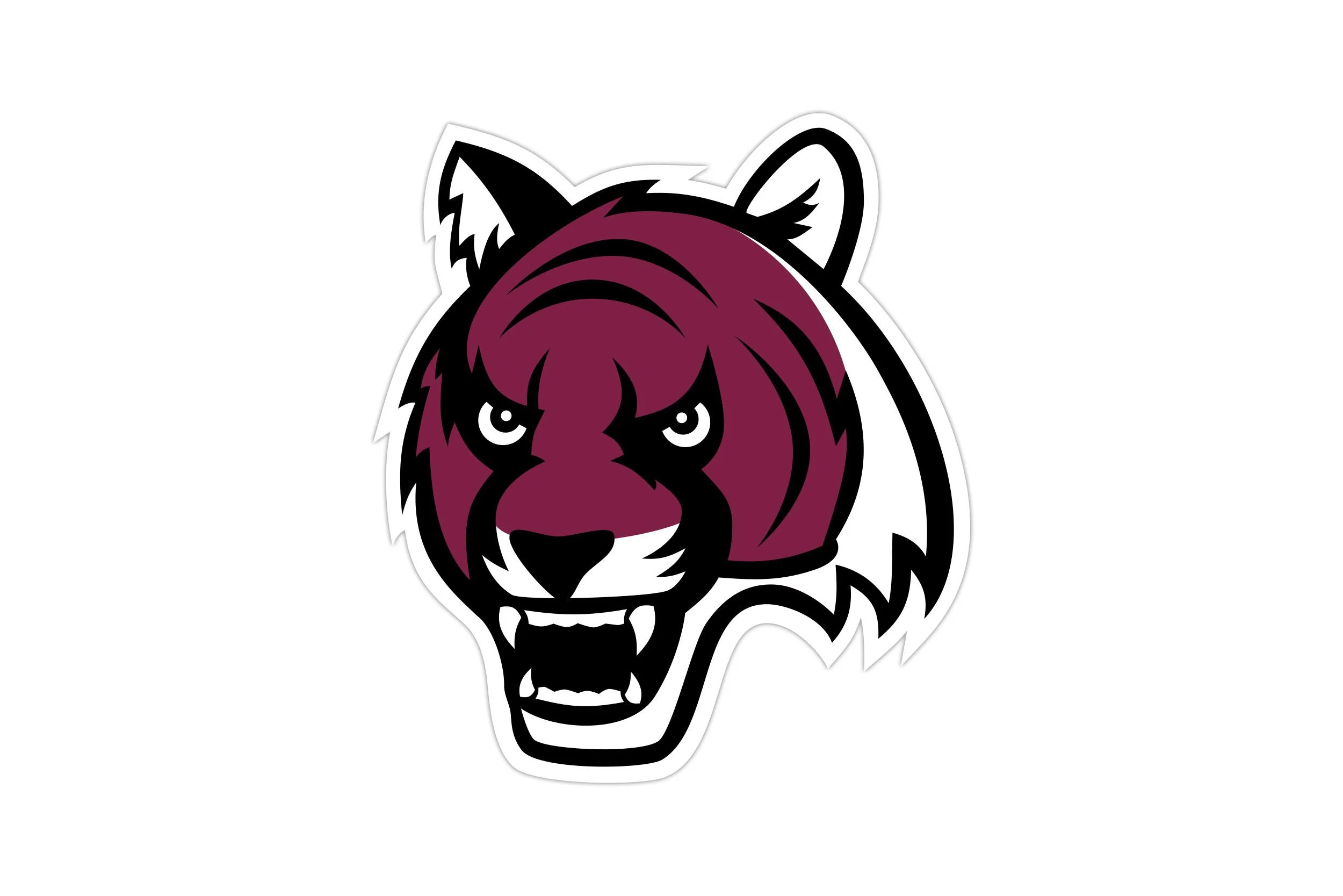 Baseball Team Mascot / Illustration & Design / Old Navy (Commercial)