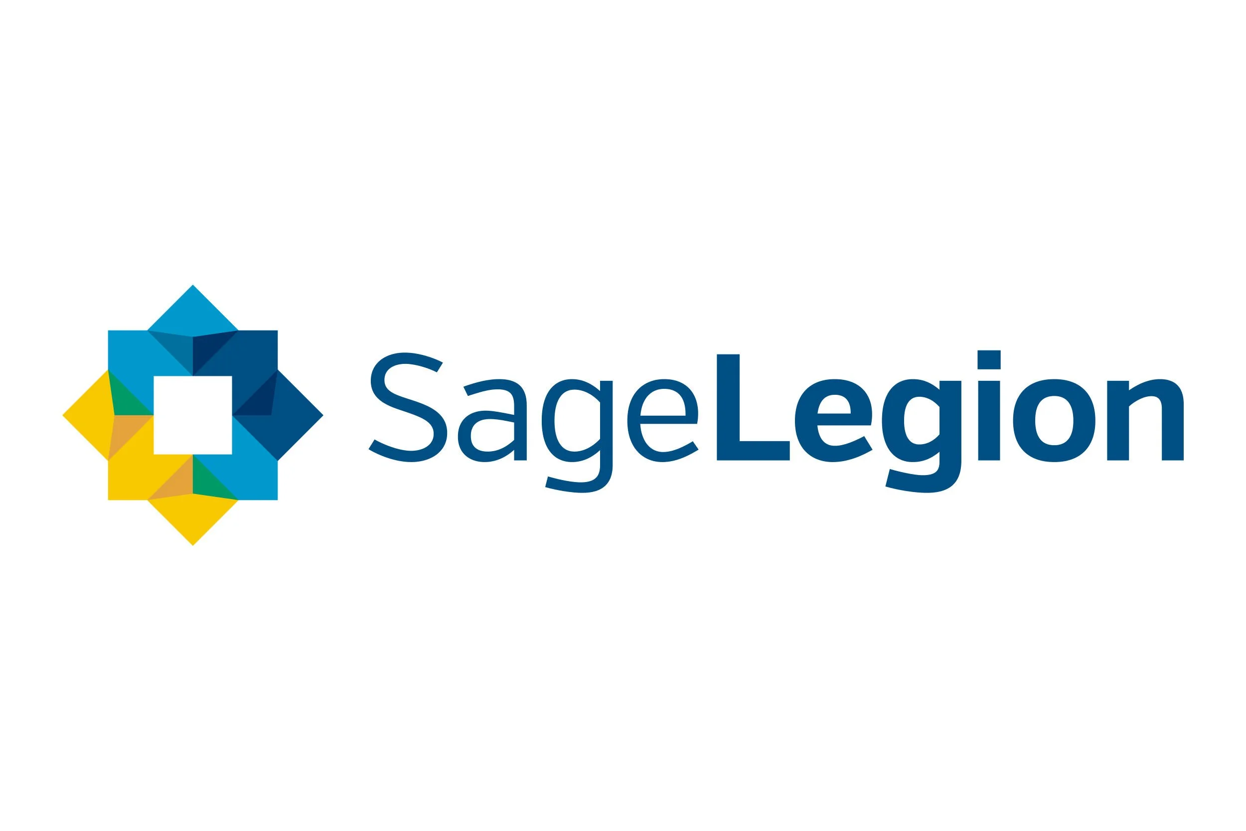 Tech Company Logo / Concept, Illustration & Design / Private Client