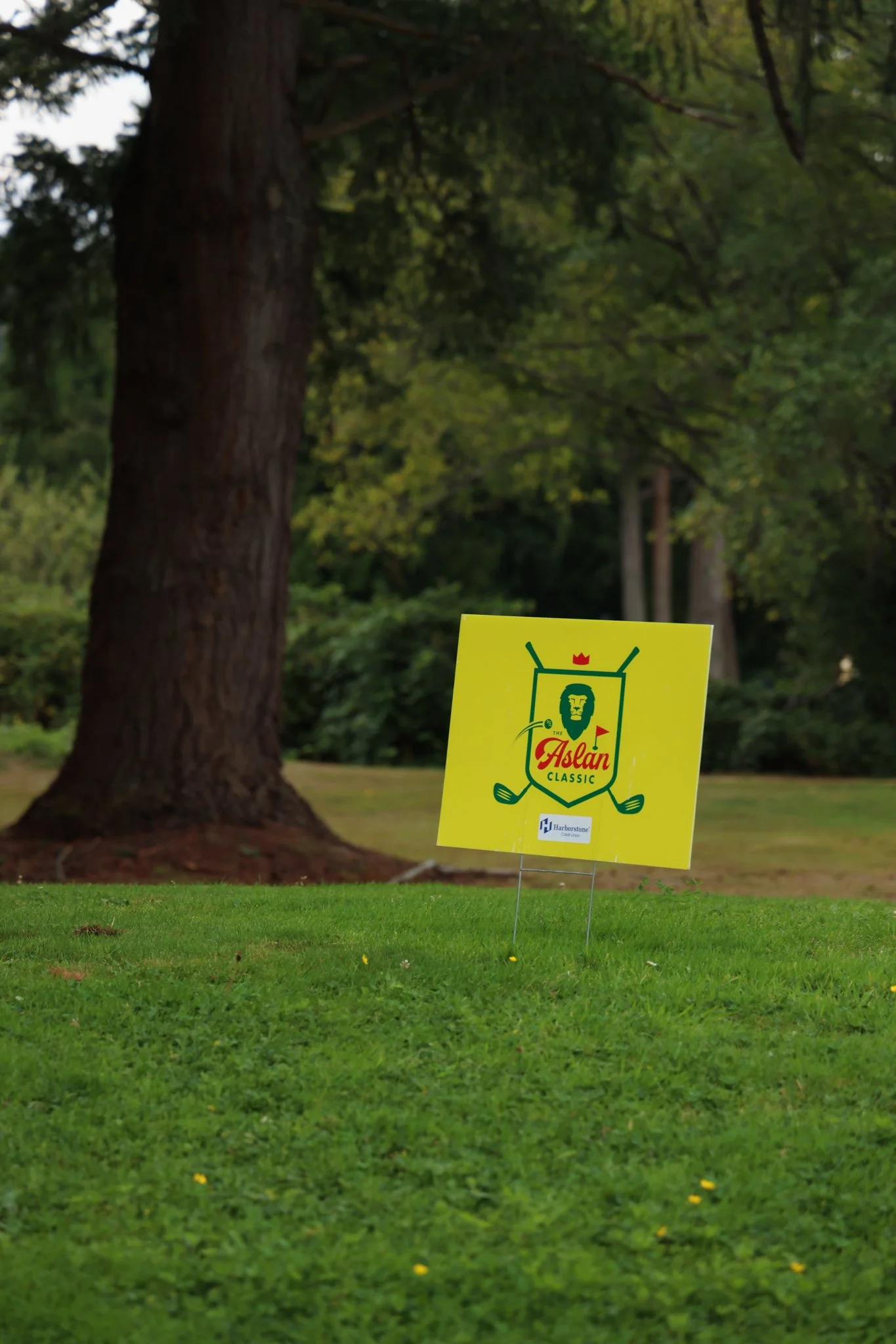 AslanClassic2026-088.jpg