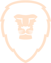 Aslan Brewing