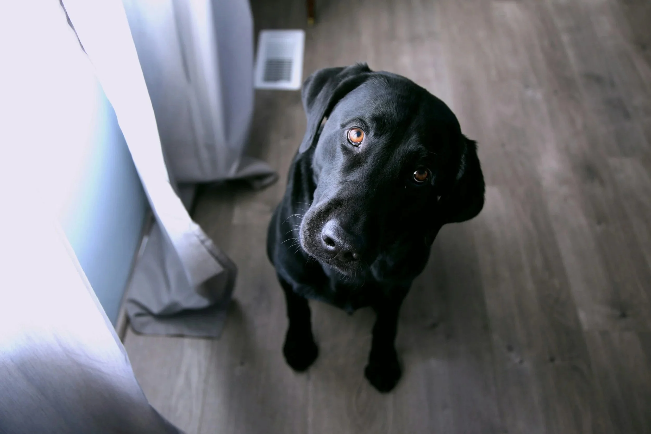 Being a Better Listener