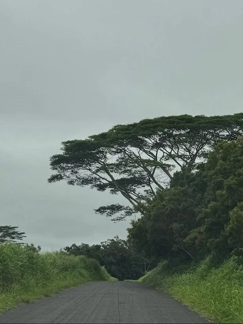 The Drive