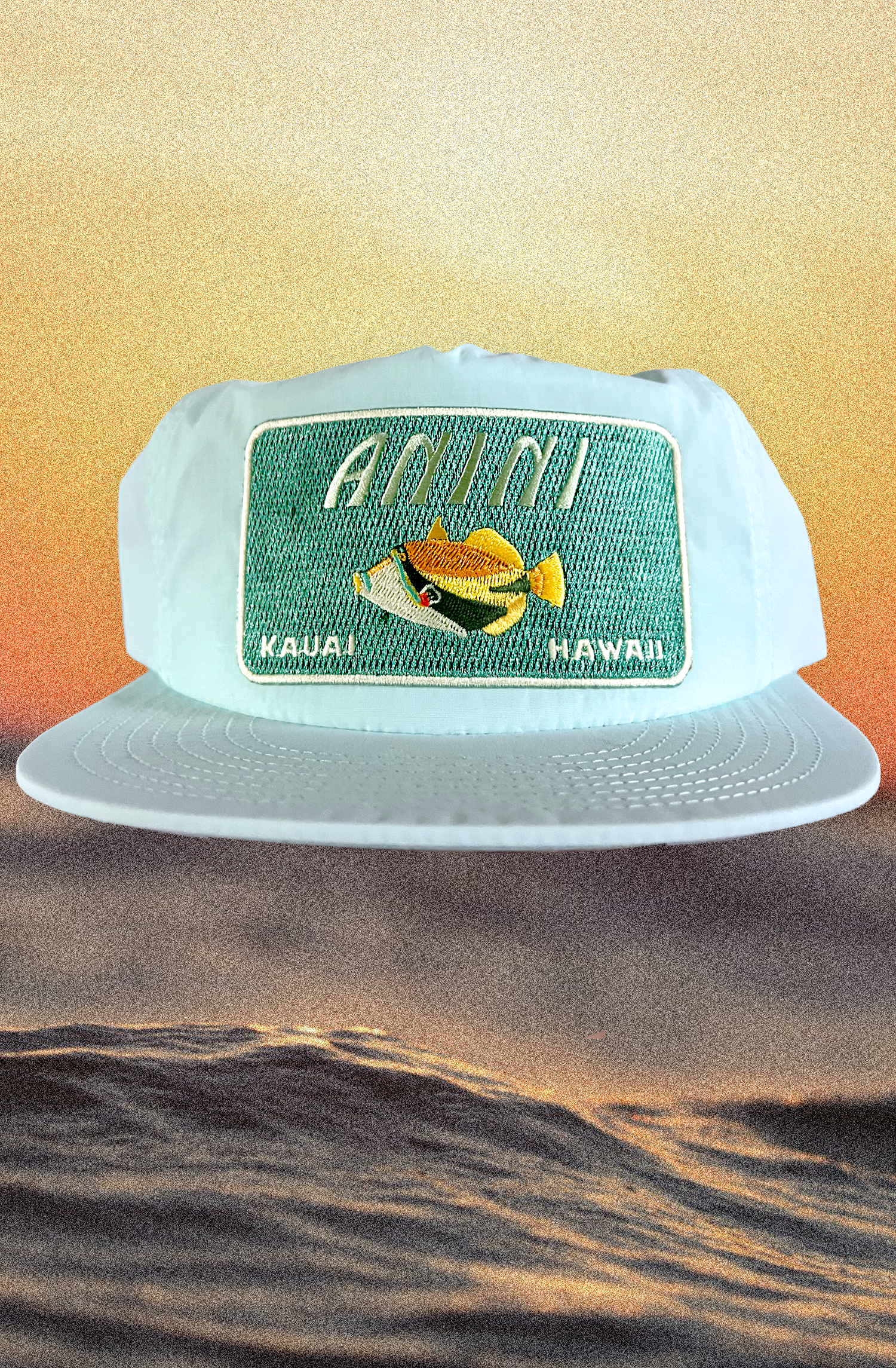 Anini.png