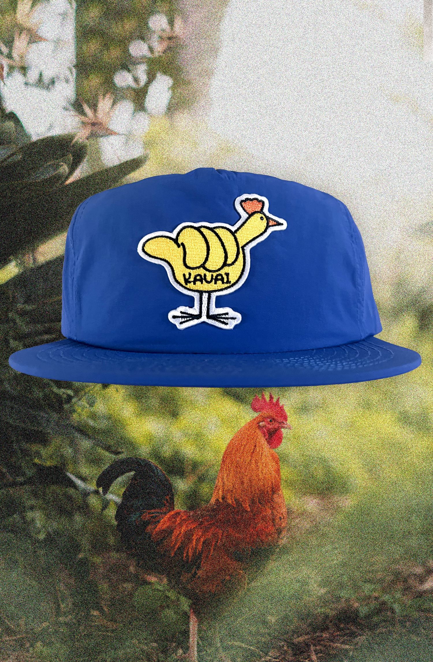 Chicken.png
