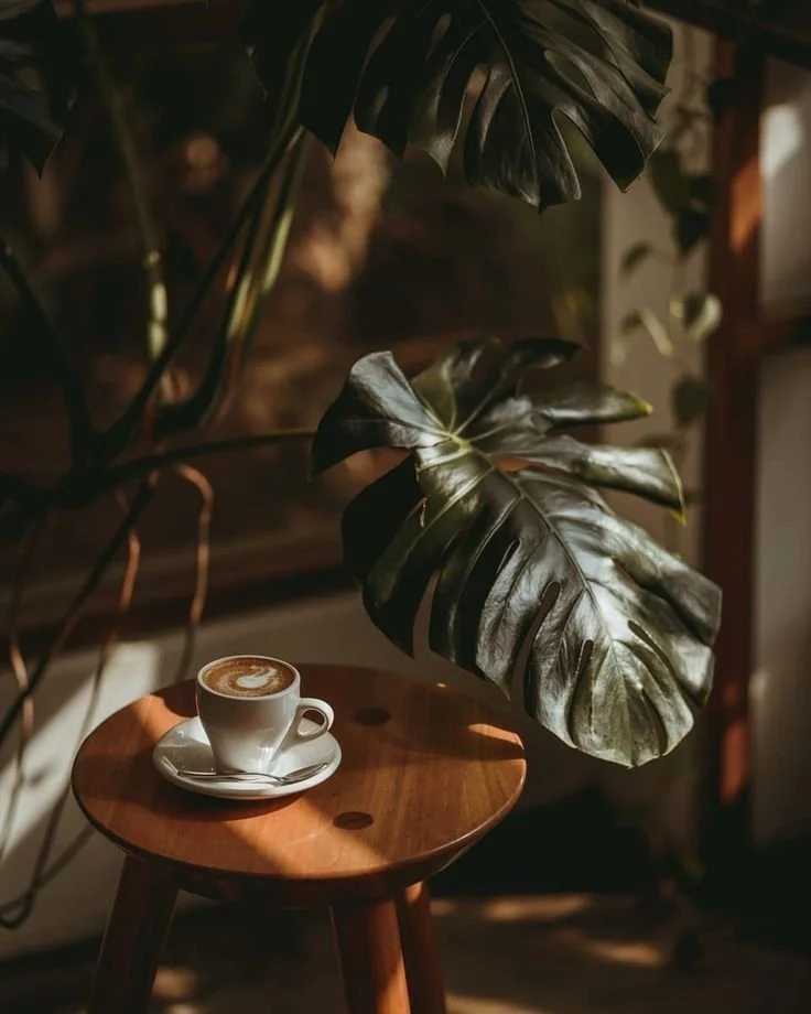 PlantCoffee1.jpg