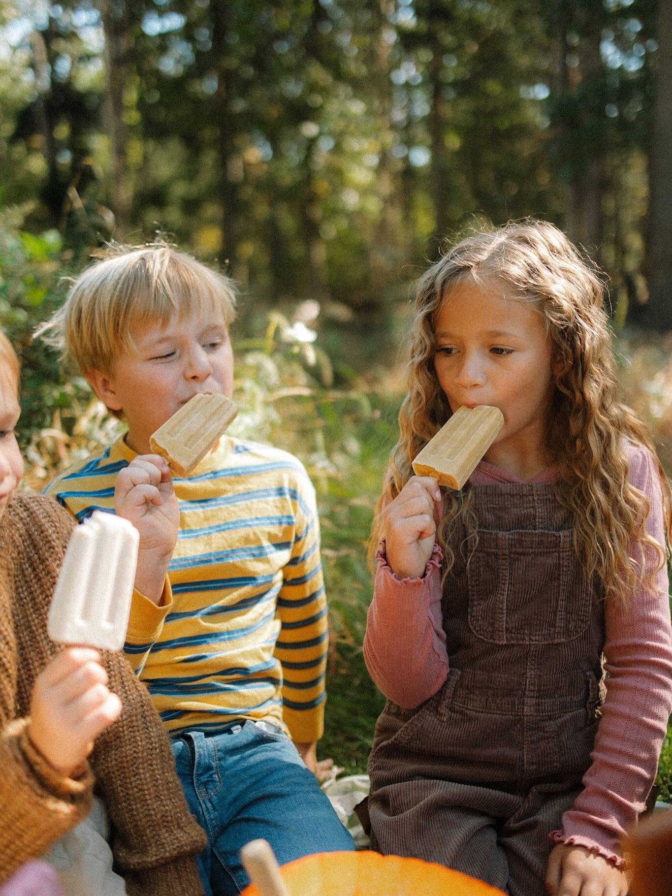 If you love all things pumpkin, then these creamy Pumpkin Spice Paletas are exactly what you need this fall season! With a light yet creamy texture, this sweet treat delivers the perfect pumpkin spice flavor to satisfy your seasonal cravings.

*Healt