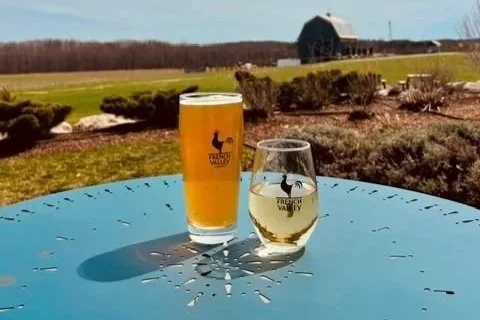 Beer vs. Wine Showdown