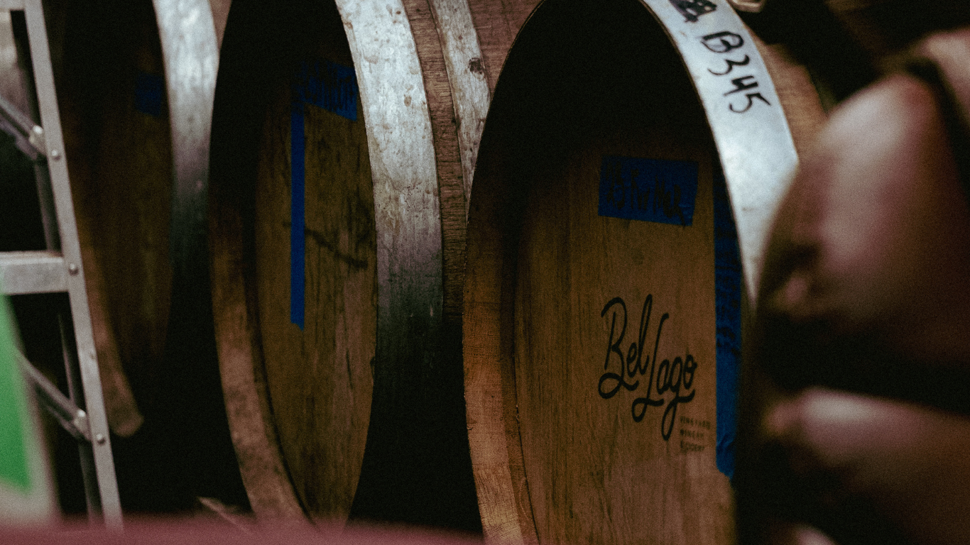 GUIDED TASTINGS