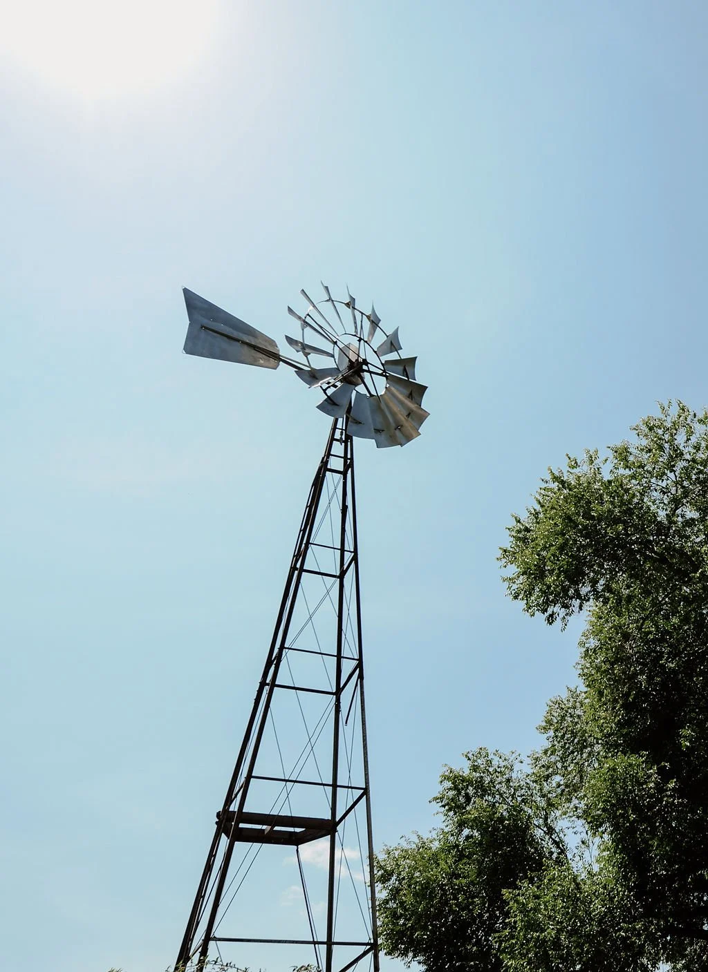 SSP_3269.jpg