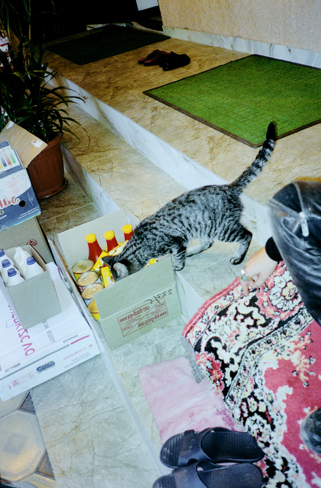 Skärmbild 2026-03-13 120104.png