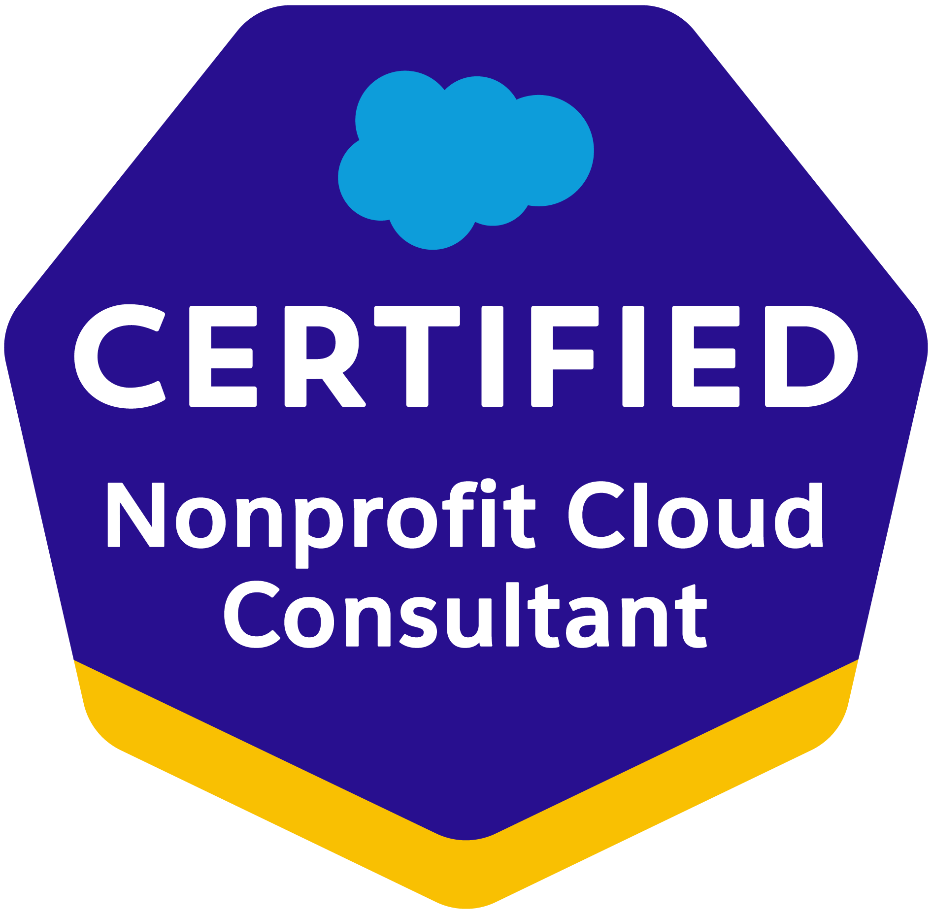 Nonprofit-Cloud-Consultant.png