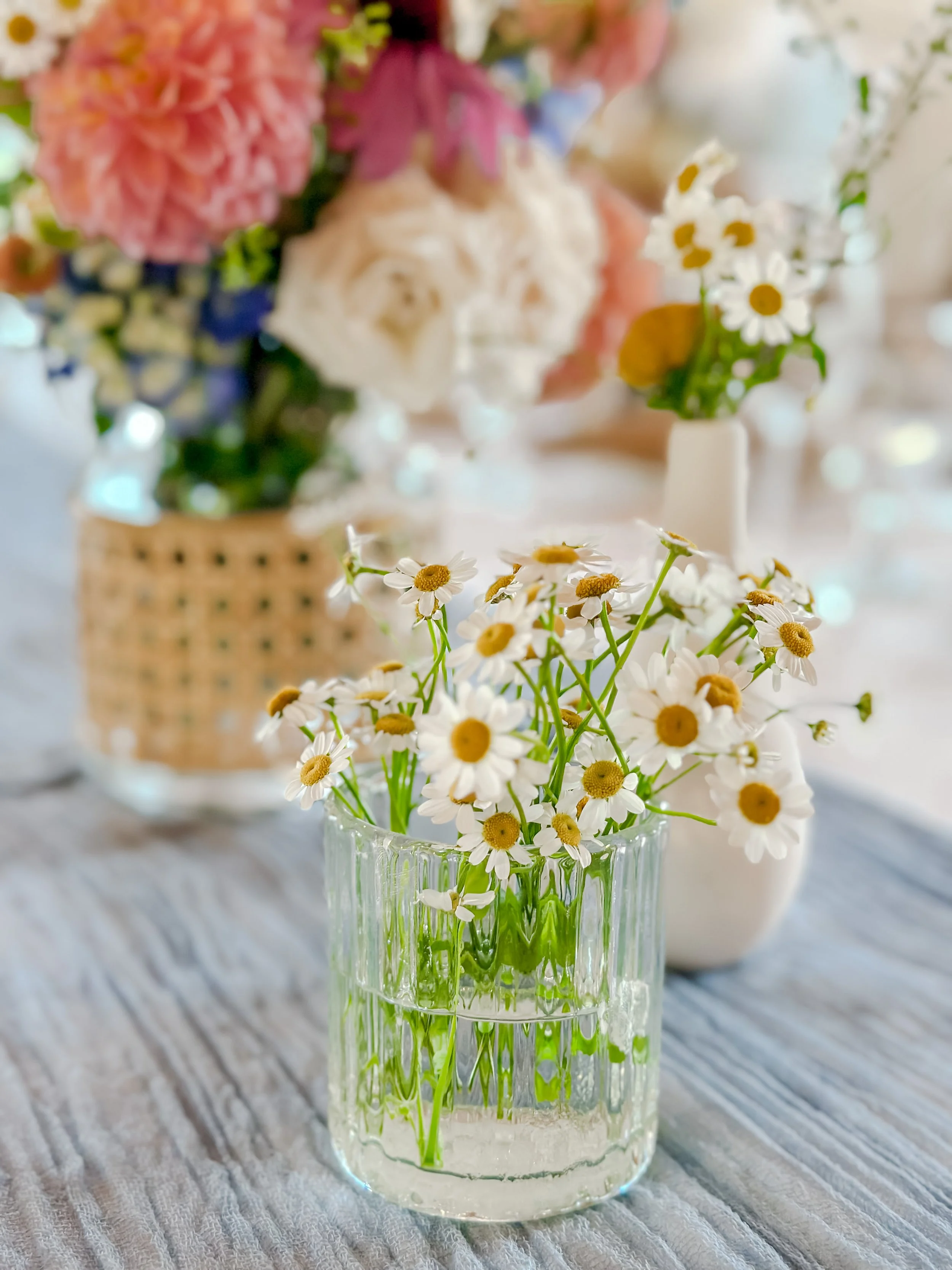 Daisies in a vase