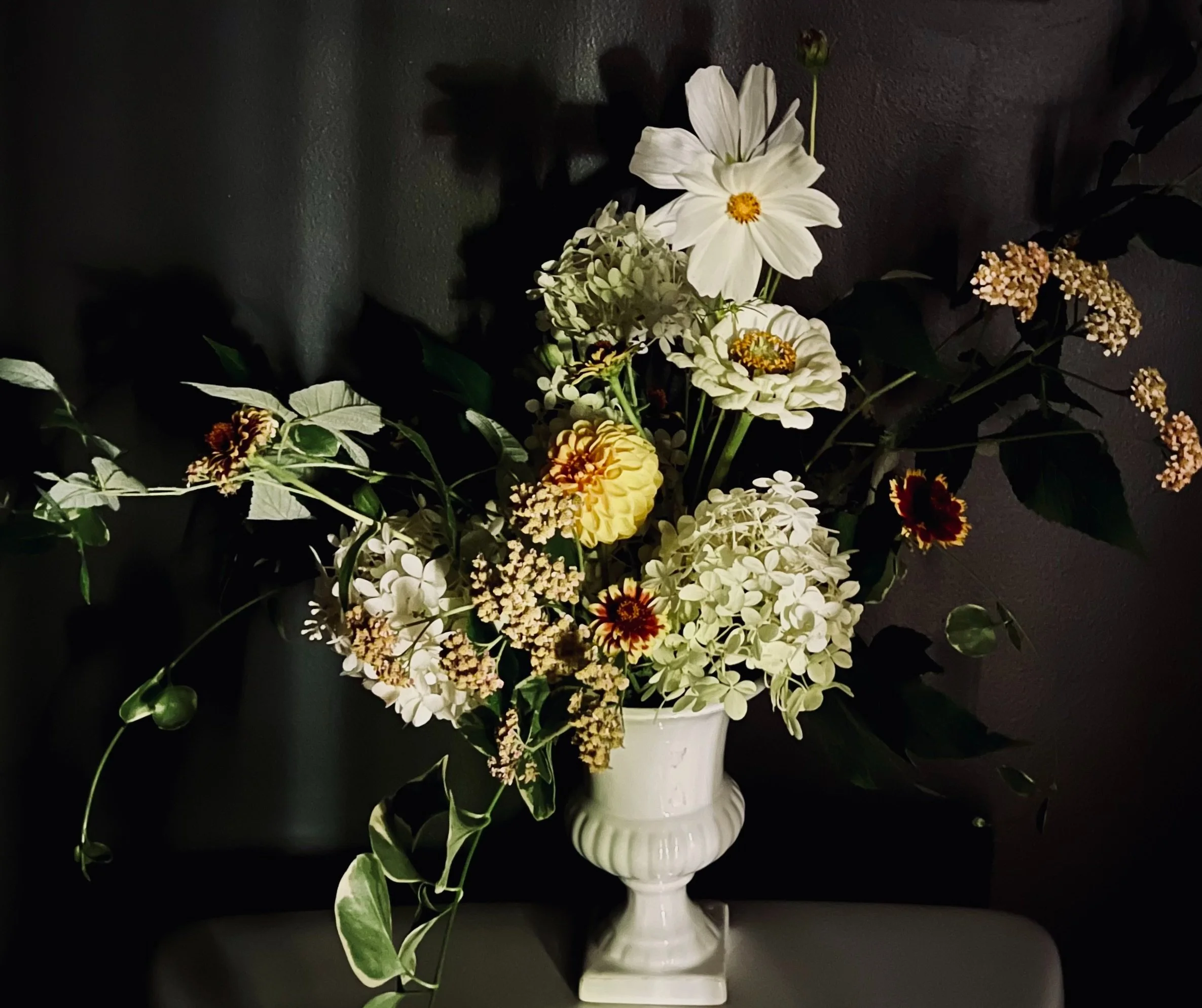 Springdale Flowers 2.jpg