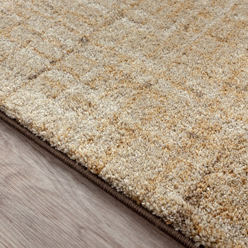 AE11 Chocolate Lightest Area.jpg