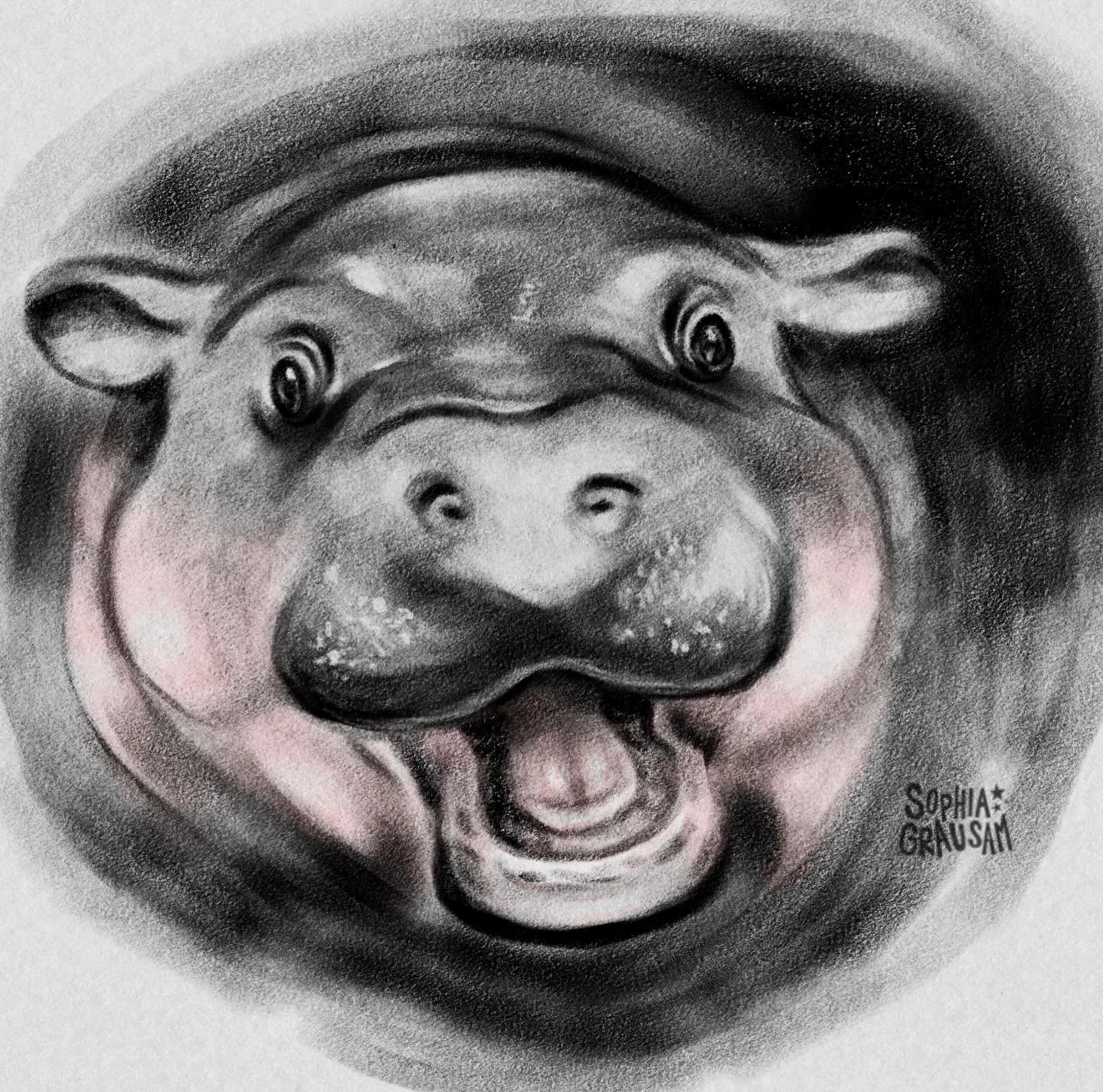 She is filled with rage... She is Moo Deng. 🦛 

#moodeng #mooddengillustration #moodengart #moodengdrawing #queen #pigmyhippo #digitalart