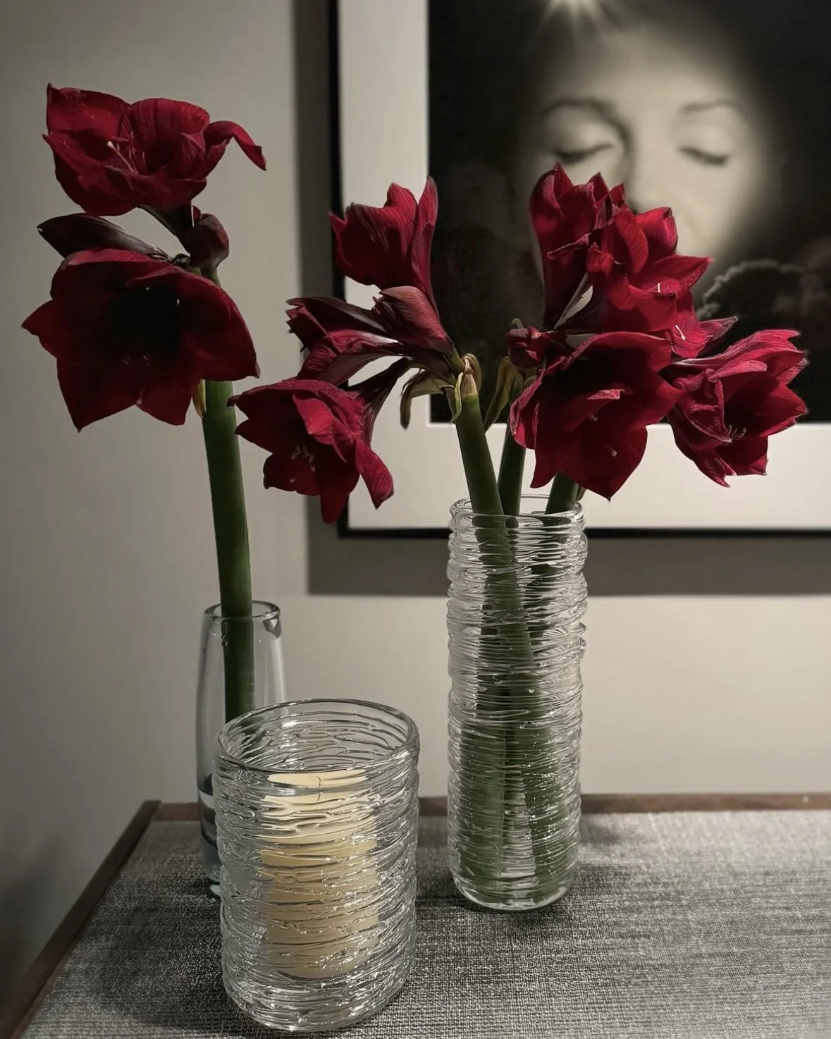 Amaryllis Stems (6 count)