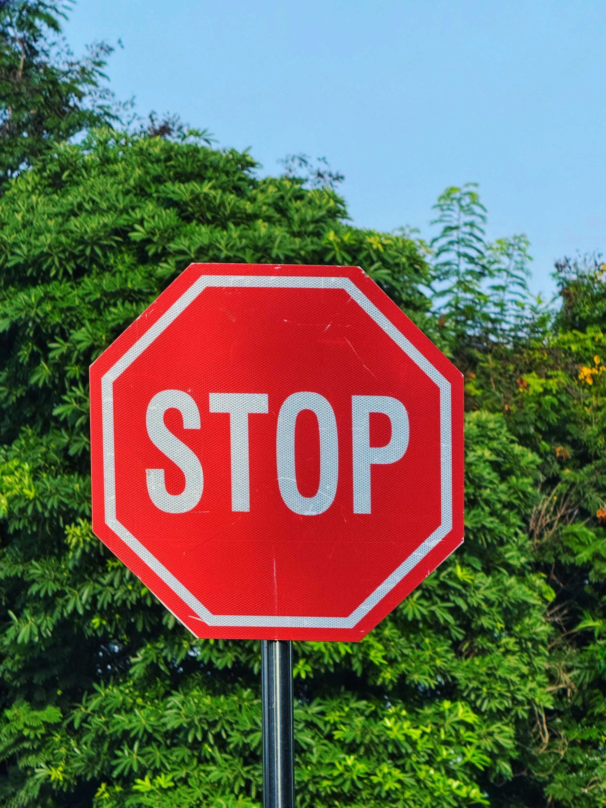 A stop sign in front of trees. Cover image for Atelier Anaiis' blog, "How to Stop Picking Your Nails and Cuticles."