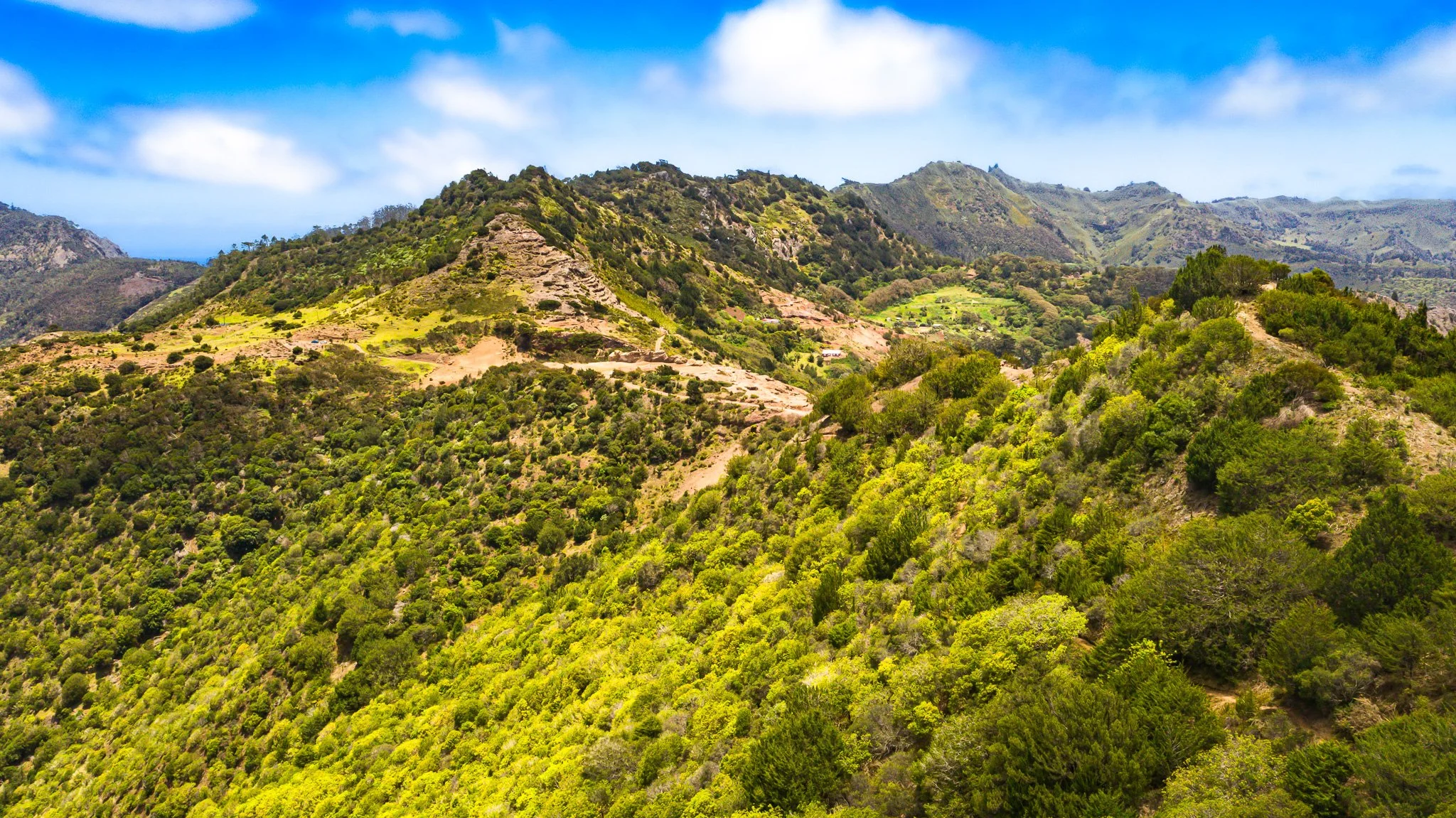 DJI_0170.jpg