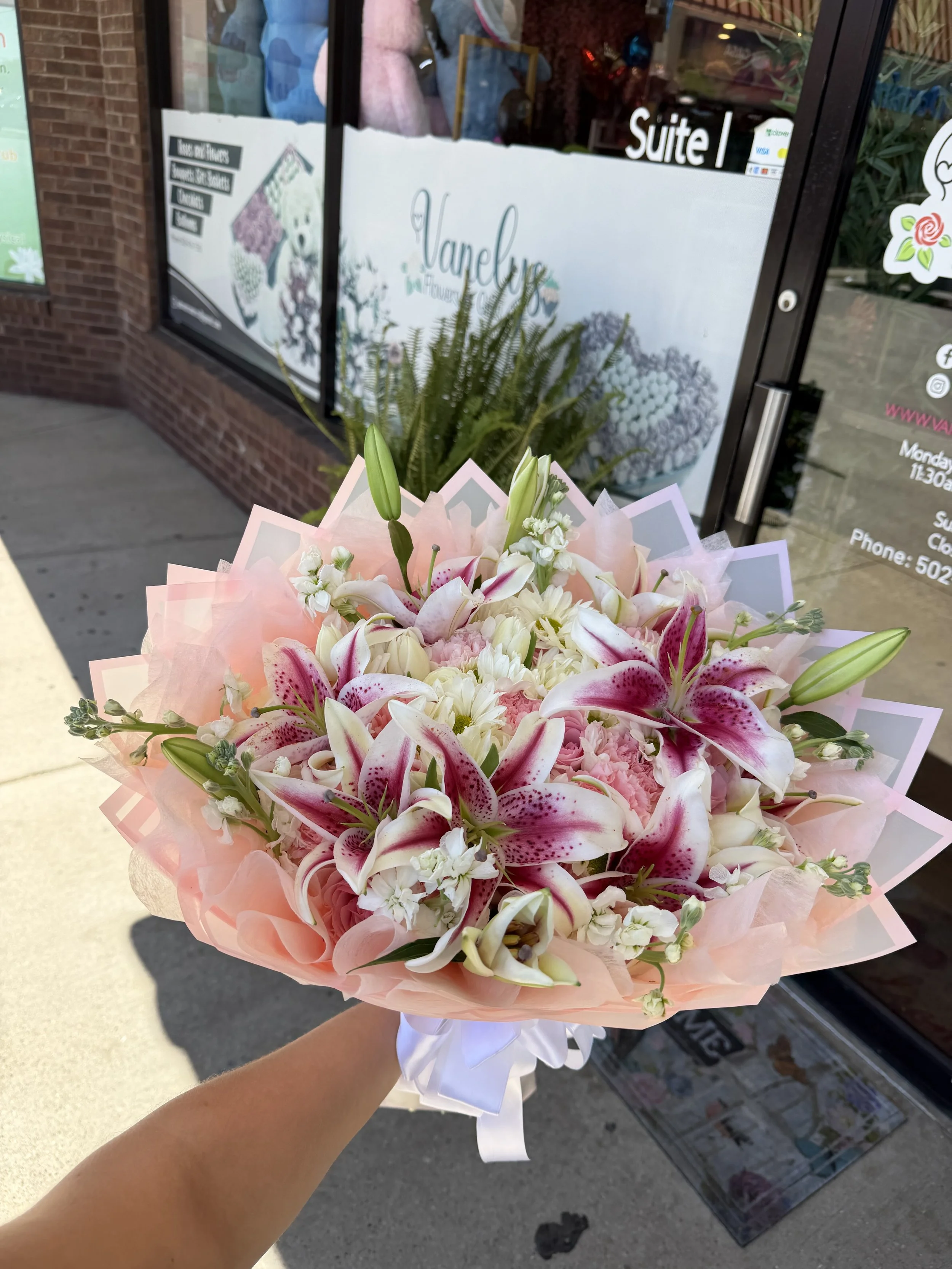 Blushing Stargazer