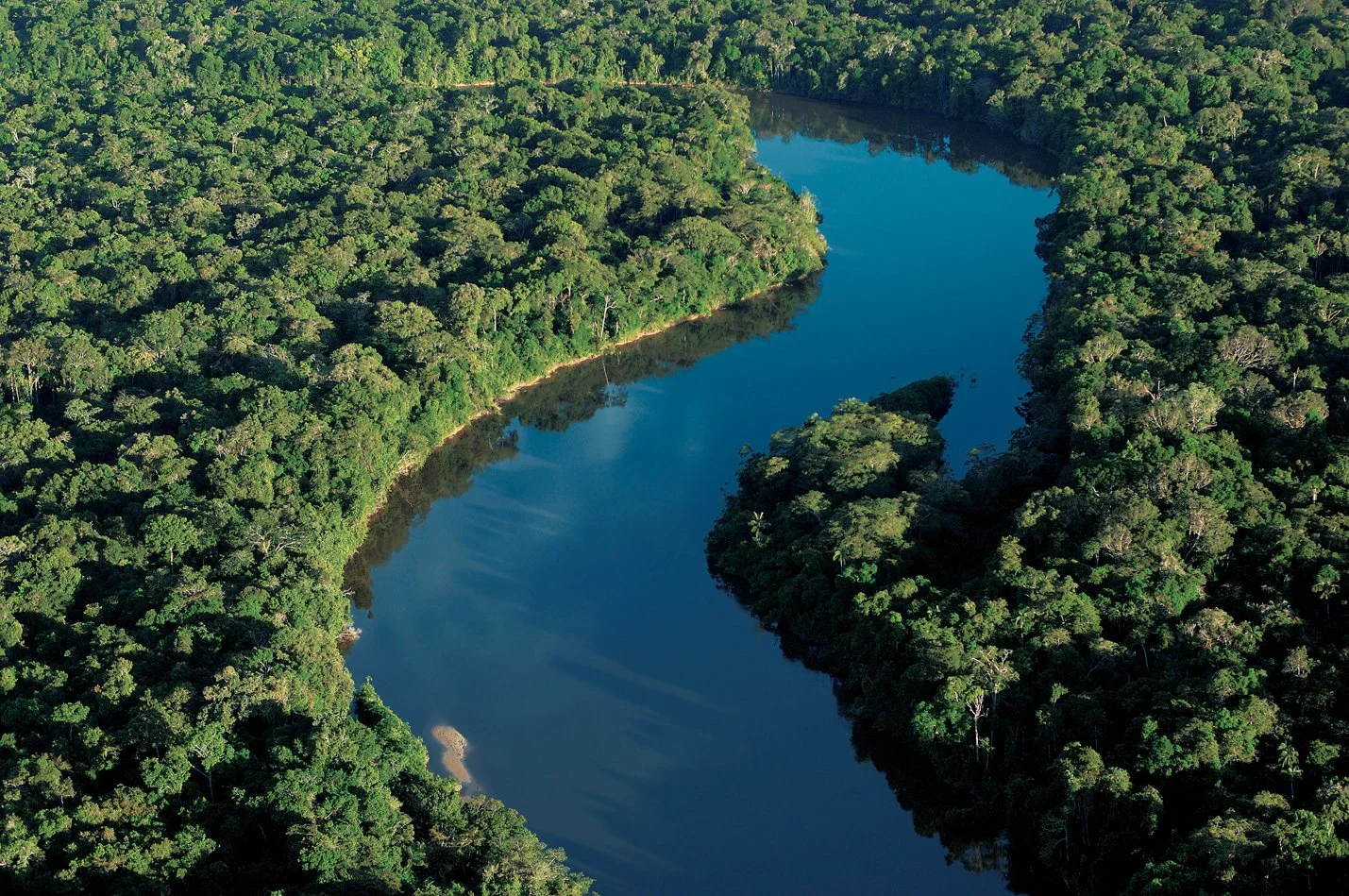Conservación Otorongo | Conservamos el Bosque Amazónico