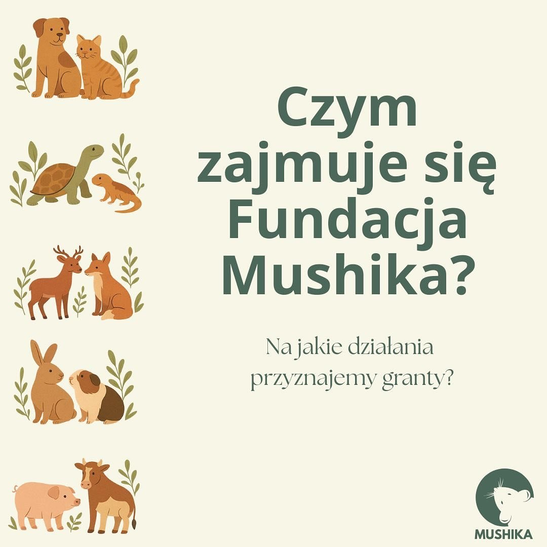 🐾 Kogo wspiera Fundacja Mushkia?
Nie ma jednej drogi do pomagania zwierzętom — jest ich wiele.Od kastracji i domów tymczasowych, przez interwencje i edukację, aż po wsparcie dla dzikich i gospodarskich zwierzą
Wierzymy, że każda łapa