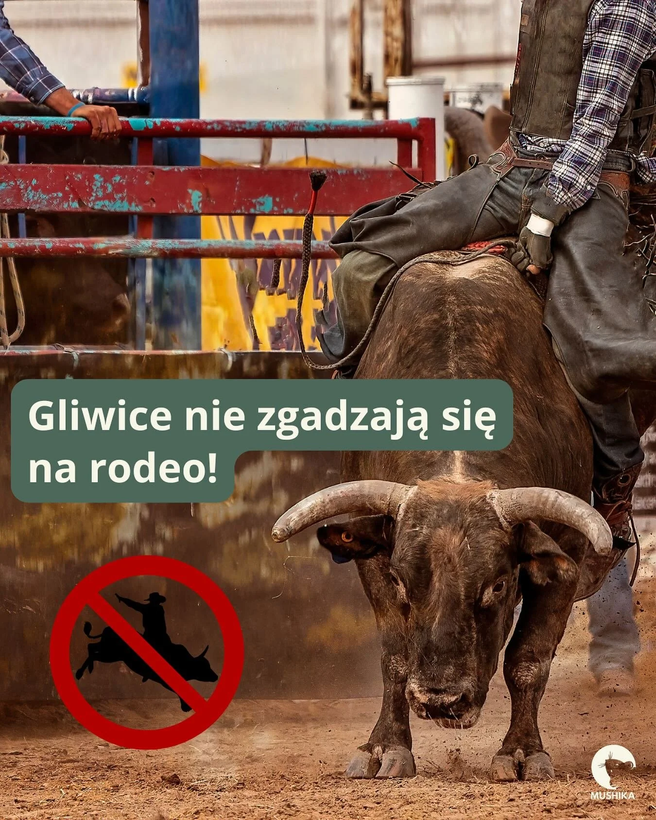 📢 Mamy to! Gliwice mówią NIE rodeo!
Z radością informujemy, że Prezydentka Miasta Gliwice, odmówiła wydania zezwolenia na organizację rodeo. Ta decyzja ma znaczenie nie tylko lokalne, ale i ogólnopolskie. Pokazuje, że w Polsce