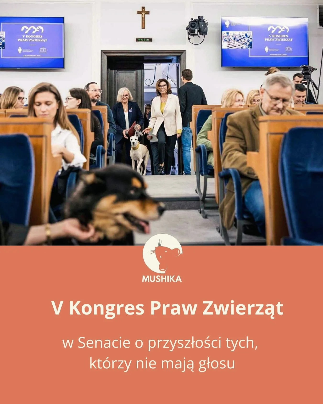 🏛️Wczoraj, 3 października w Senacie RP odbył się V Kongres Praw Zwierząt. To wyjątkowe wydarzenie, podczas kt&oacute;rego przedstawiciele nauki, prawa, polityki i organizacji społecznych rozmawiali o aktualnych problemach zwierząt &ndash; w parlamen