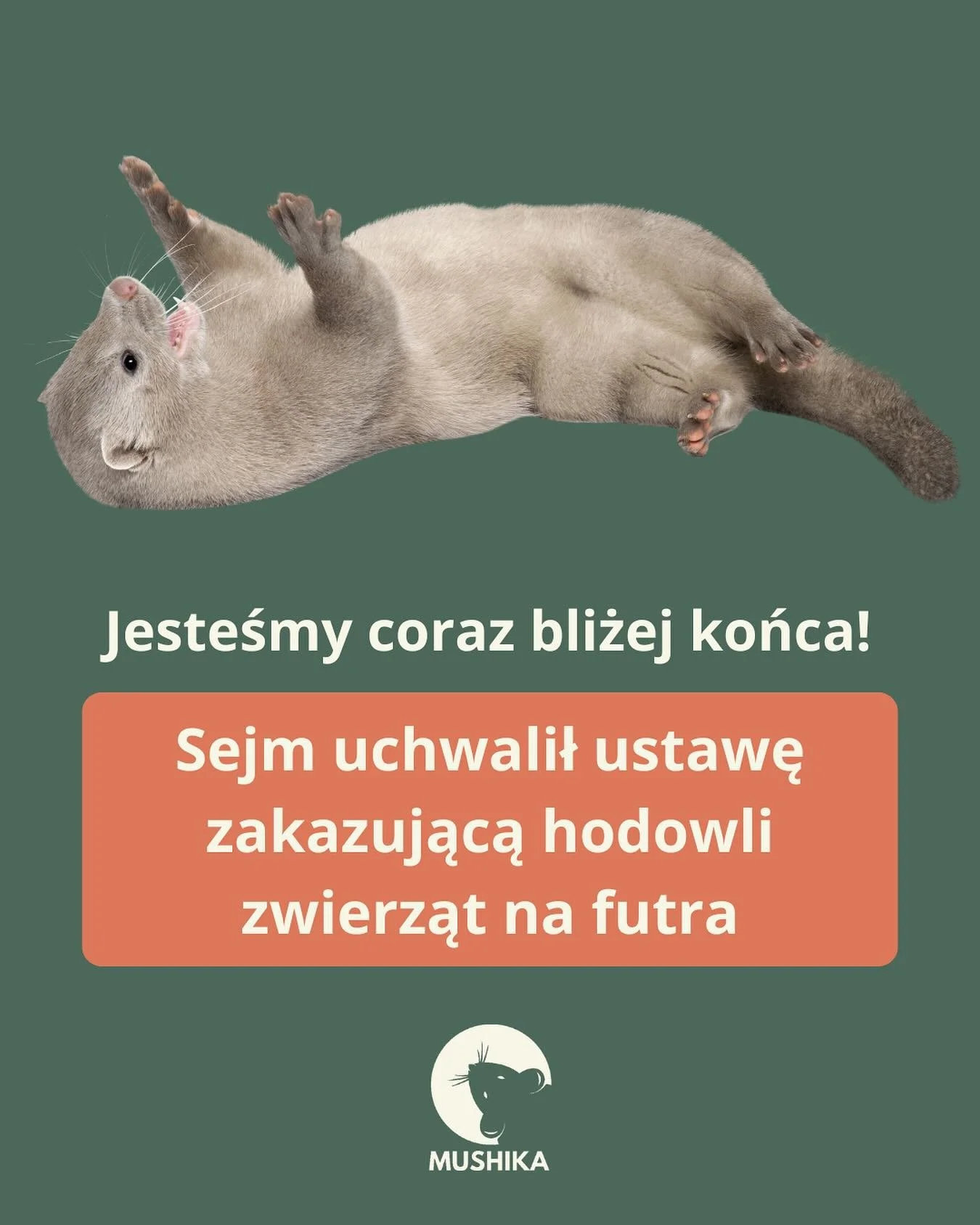 🇵🇱 To historyczna decyzja!
17 października 2025 r. Sejm RP uchwalił ustawę wprowadzającą w Polsce zakaz chowu i hodowli zwierząt futerkowych w celach komercyjnych 🦊

Jesteśmy już bardzo blisko zakończenia epoki ferm futrzarskich, kt&oacute;re prze