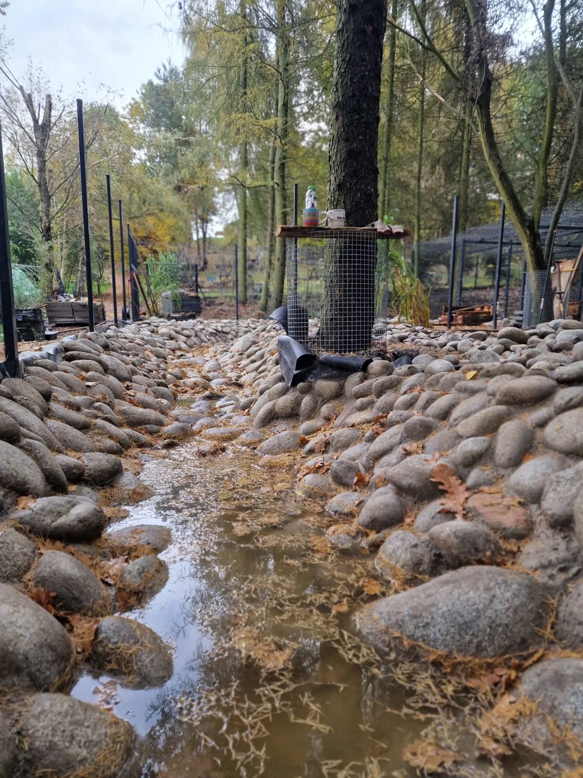 WhatsApp Image 2025-10-24 at 15.28.27-2-kopia.jpeg