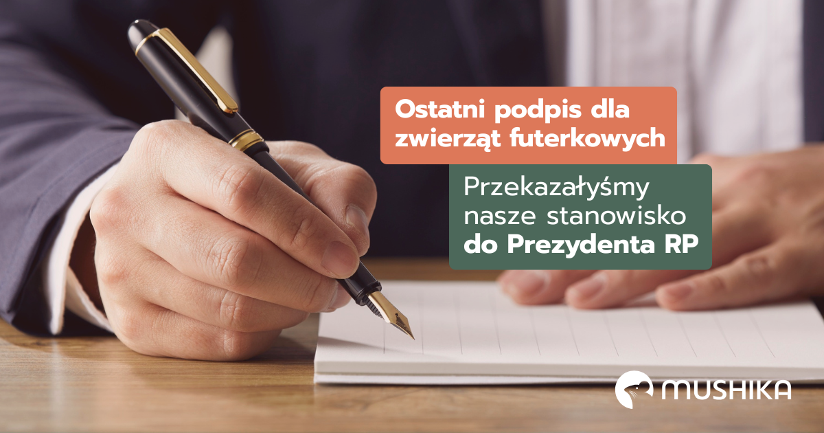 Ostatni podpis dla zwierząt futerkowych. Przekazałyśmy nasze stanowisko do Prezydenta RP
