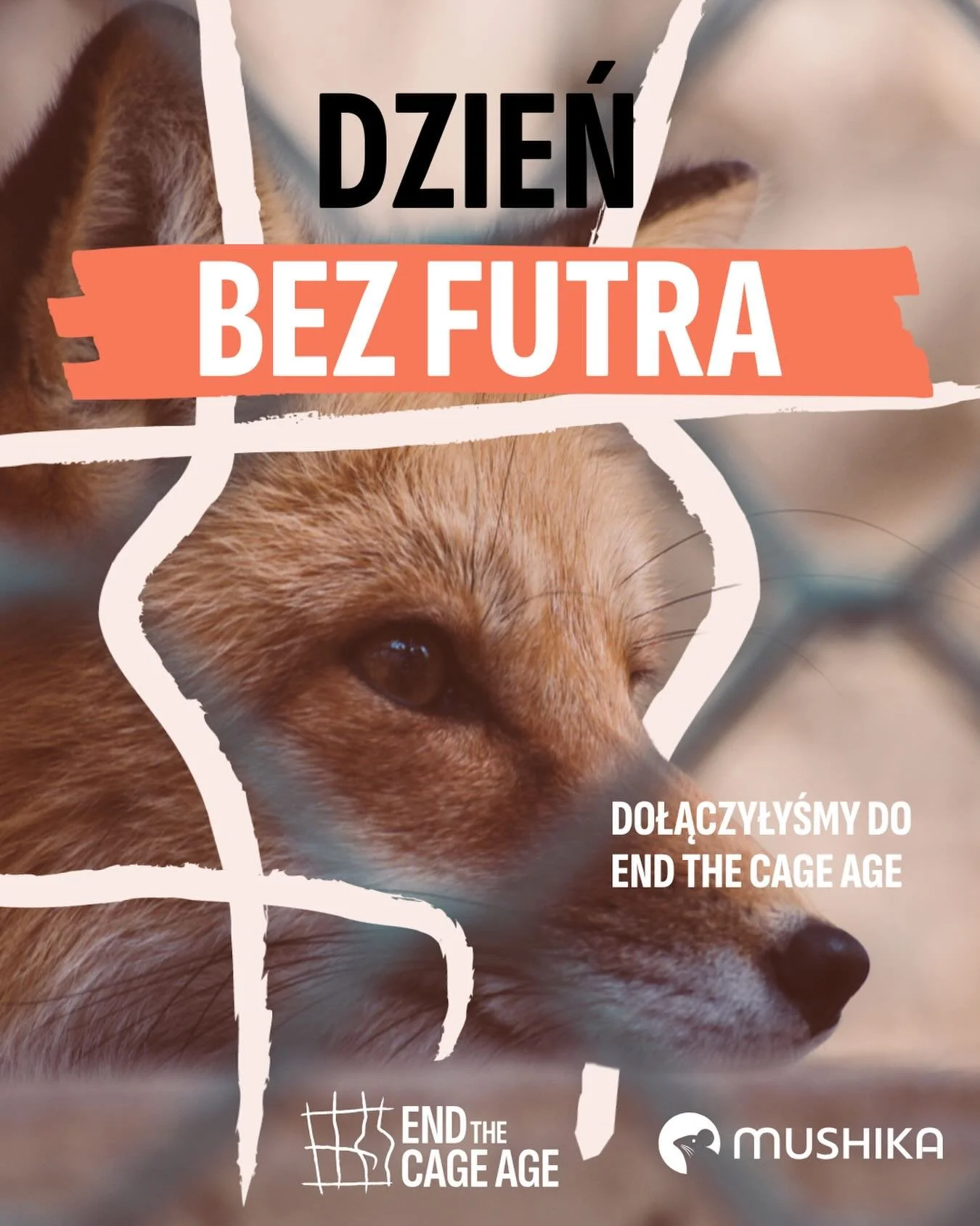 📢 Koniec epoki futer to za mało. Czas zakończyć także epokę klatek. 

25 listopada to Dzień Bez Futra, kt&oacute;ry przypomina, że cierpienie zwierząt nie może być ceną za modę. Ale żeby ten dzień nie był tylko symbolem, potrzebujemy realnych zmian 