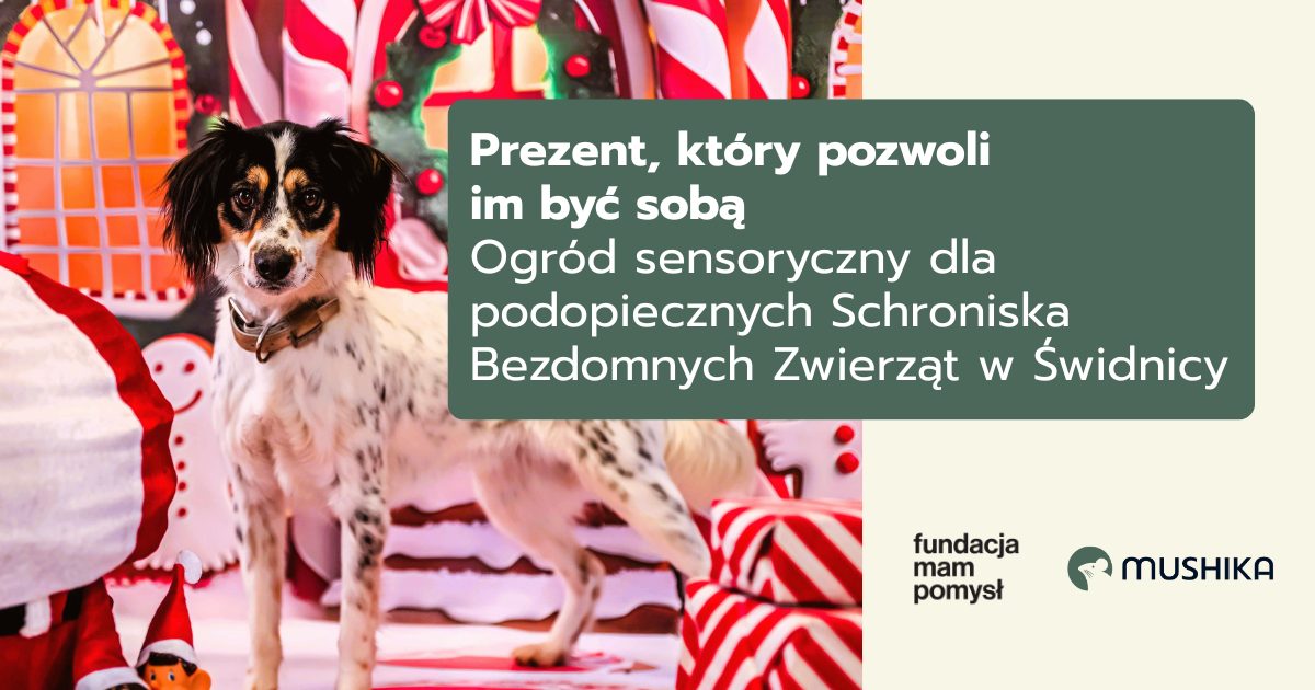 Ogród sensoryczny – czym jest i dlaczego ma ogromne znaczenie dla psów w schronisku
