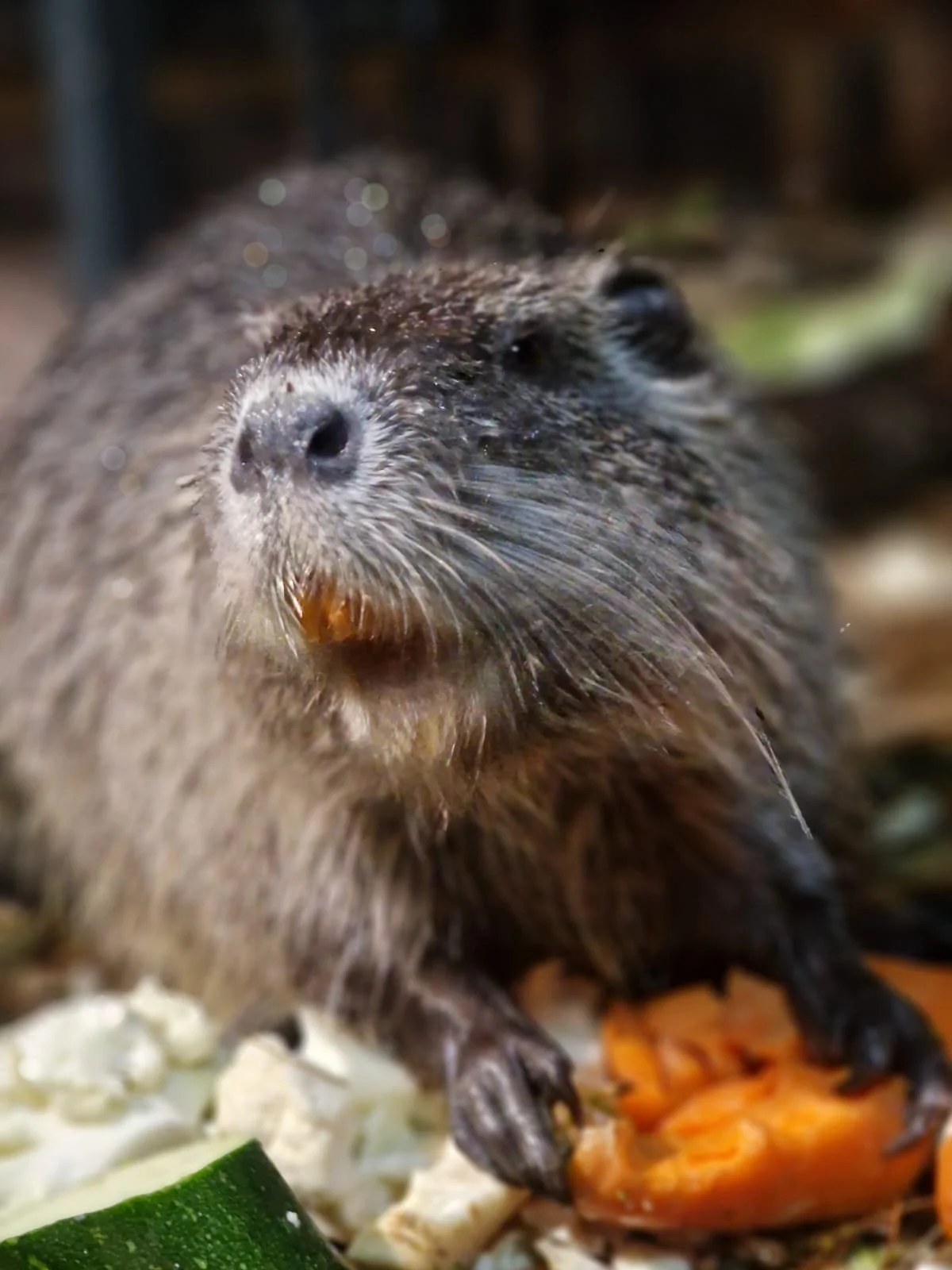 WhatsApp Image 2025-11-26 at 09.33.02.jpeg