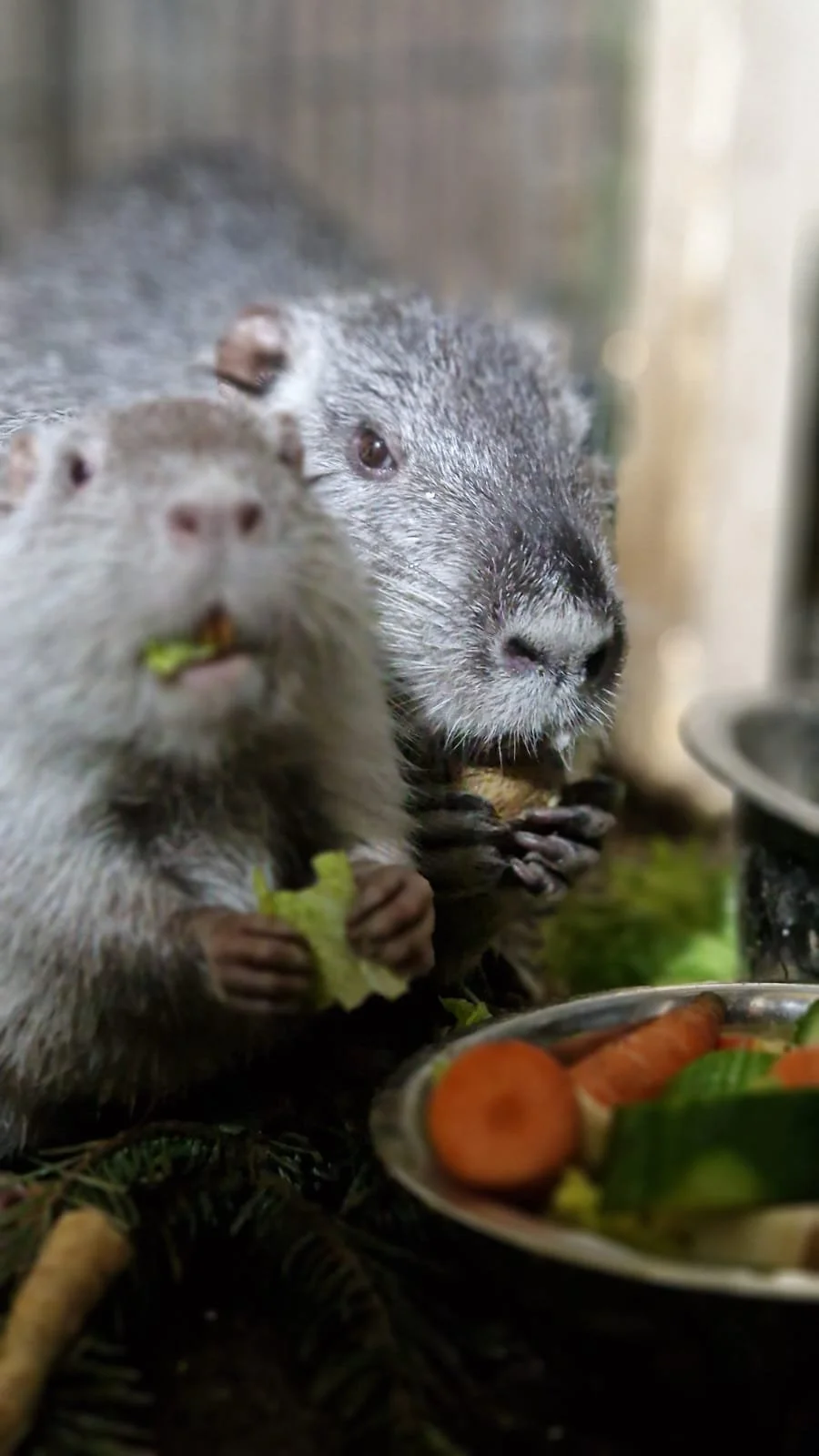 WhatsApp Image 2025-11-26 at 09.33.31 (3).jpeg