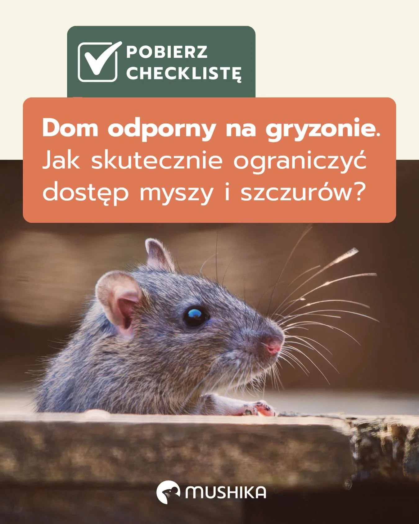 Nie zapraszaj szczura do domu - zabezpiecz budynek 🏠🐭 

Myszy i szczury to inteligentne, zwinne zwierzęta. 
Wystarczy szczelina pod parapetem, otw&oacute;r wentylacyjny czy nieszczelne drzwi do garażu, by dostały się tam, gdzie jest ciepło, jedzeni