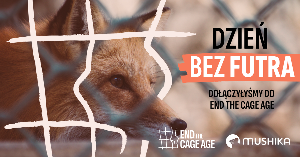 Dzień Bez Futra - dołączyłyśmy do End the Cage Agę