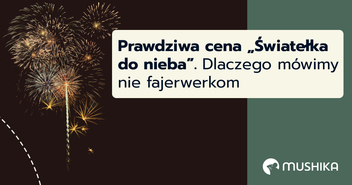 Prawdziwa cena „Światełka do nieba”. Dlaczego mówimy nie fajerwerkom