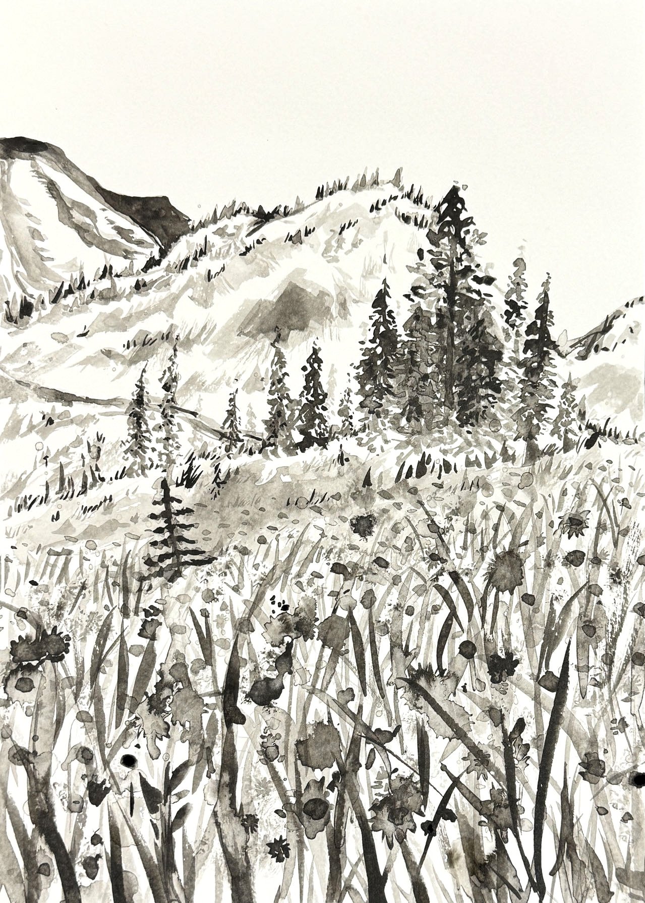 _cgi-bin_mmwebwx-bin_webwxgetmsgimg__&MsgI