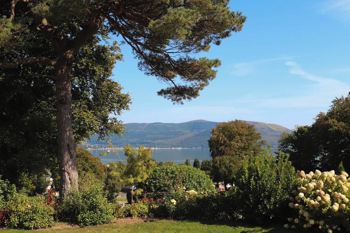 Screenshot 2025-10-24 at 1.32.44 PM.png