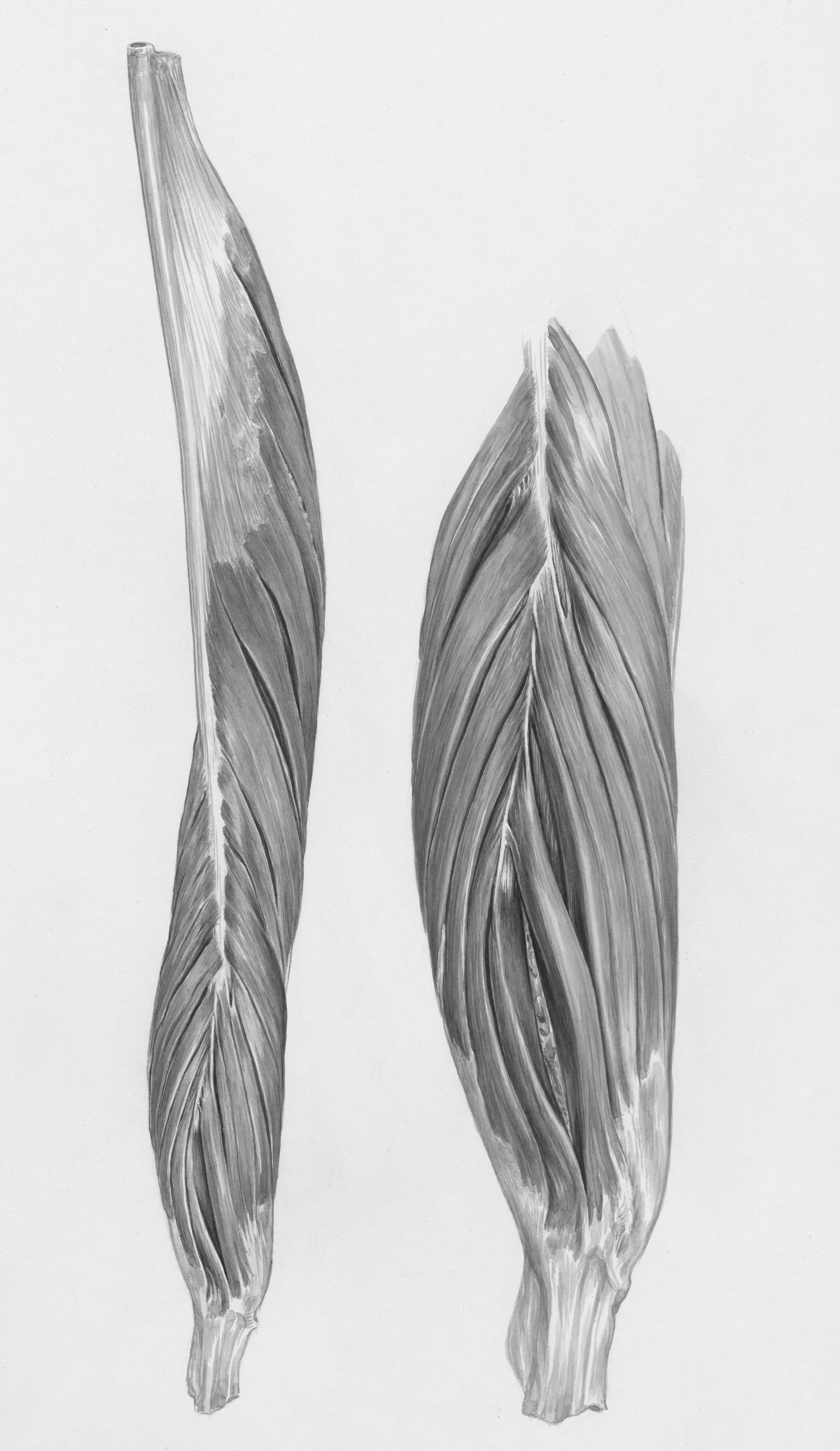 The Importance of Corporate Wellness:   