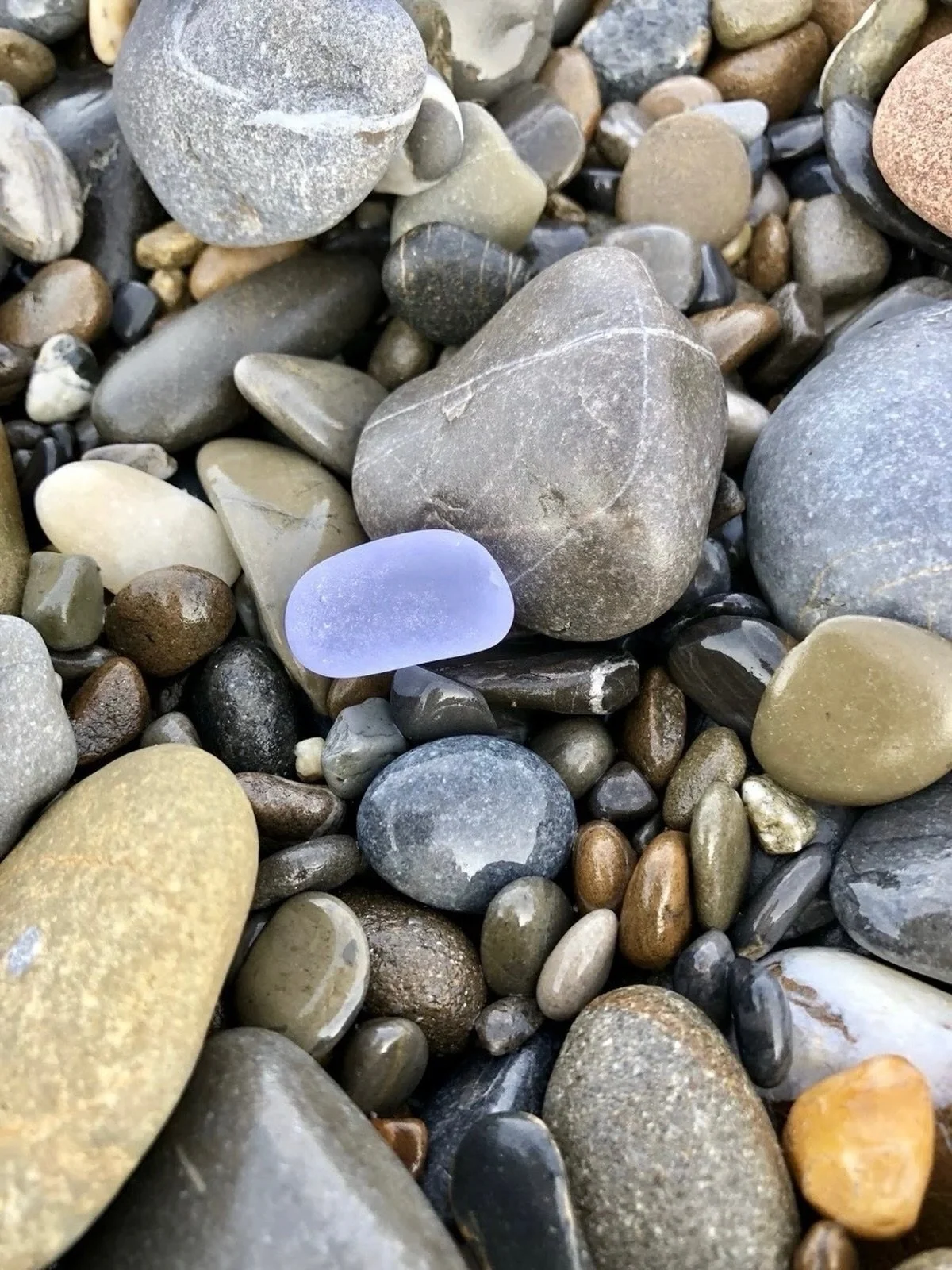 Like a pebble dropped into a pond, our intention sets off a vibration that moves outward from our heart center and touches everything around us.

We don&rsquo;t always see it land. But others feel it.

What we carry inside doesn&rsquo;t stay inside. 
