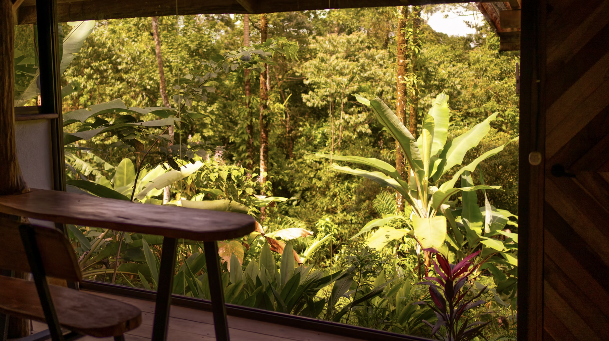 View of lush green tropical foliage through an open window from inside a wooden cabin or hut, with chairs and a table in the foreground.