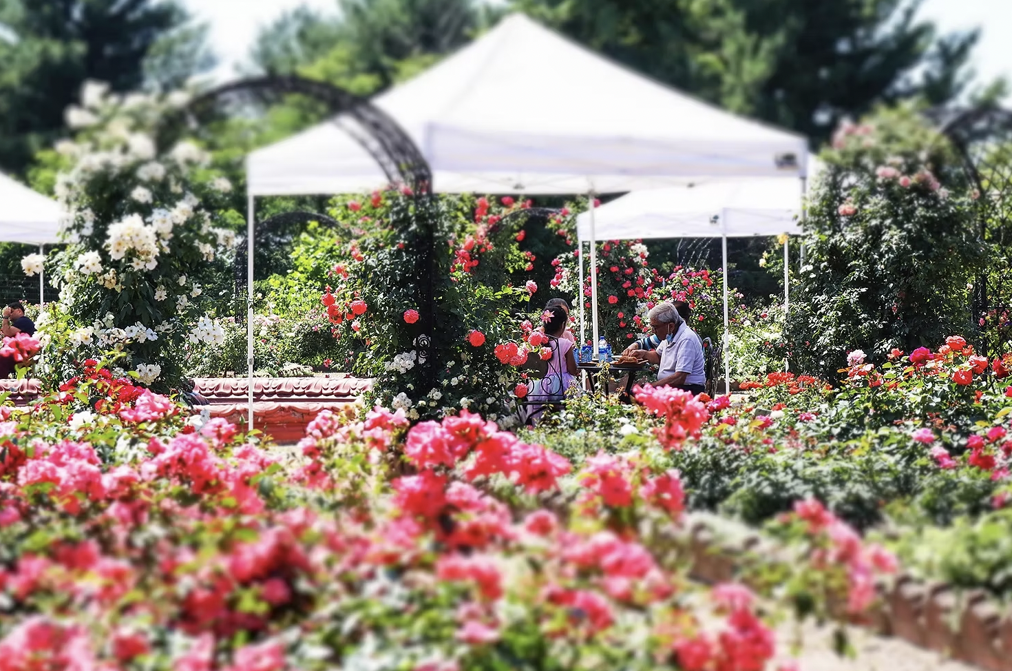 Screenshot 2025-08-16 at 4.49.11 PM.png