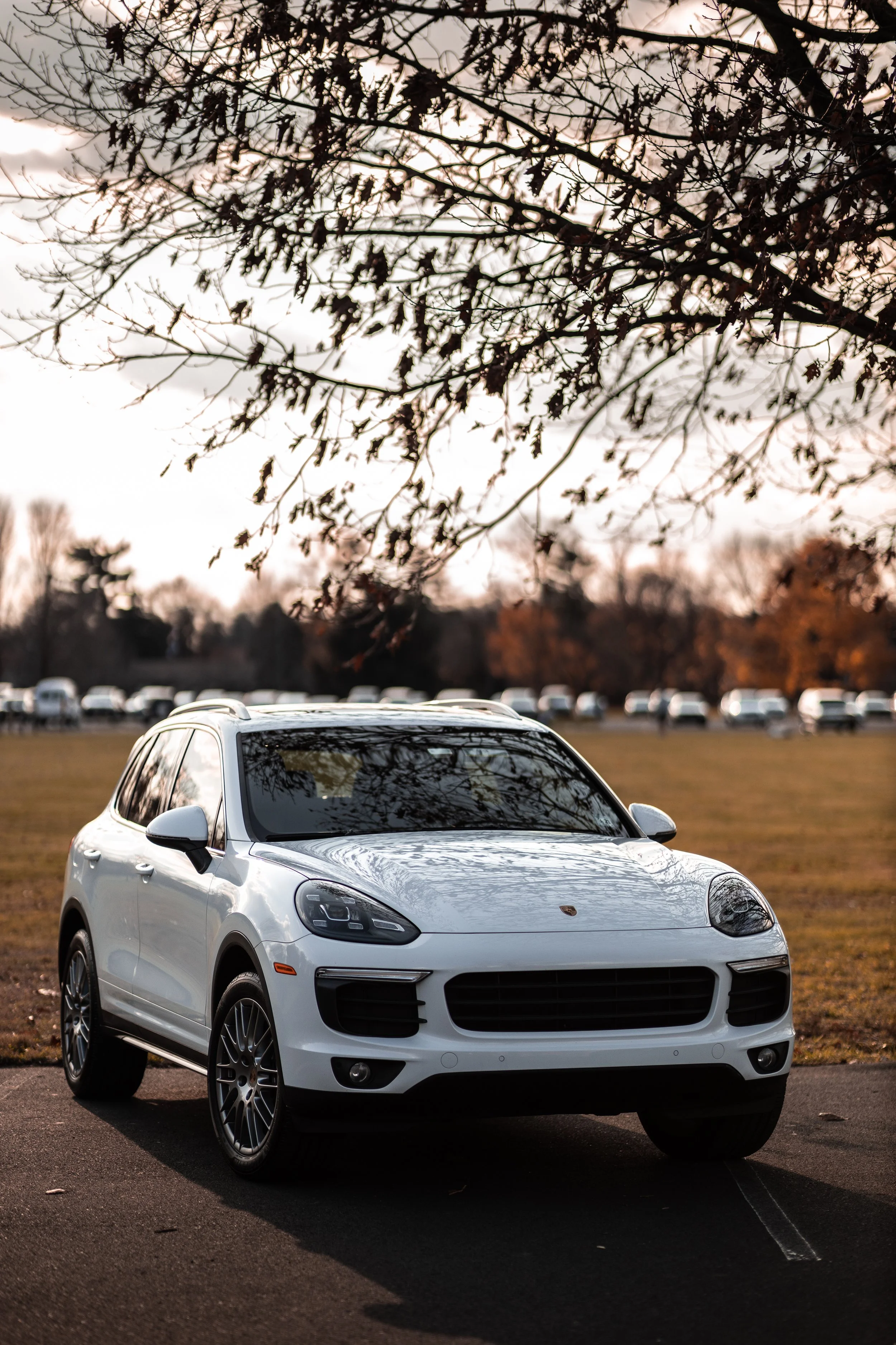 PorscheCayenne-2.jpg