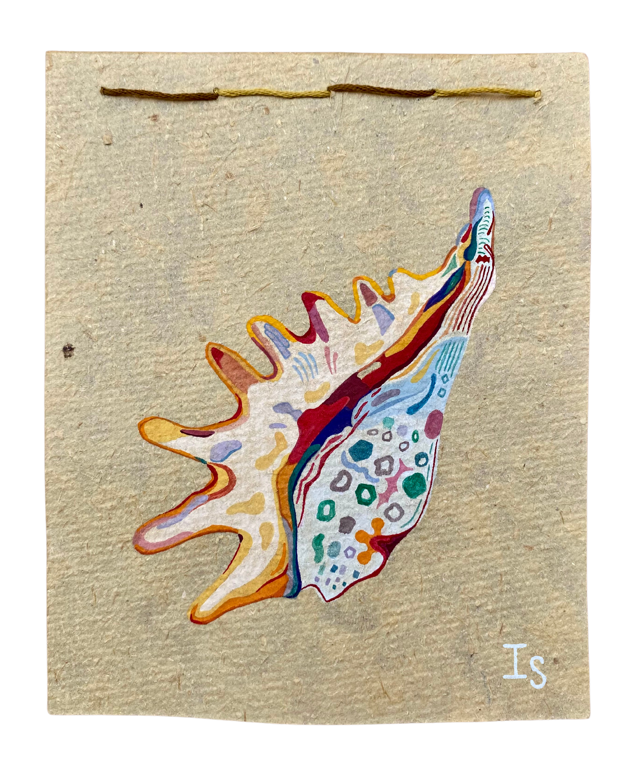Conch v1.png